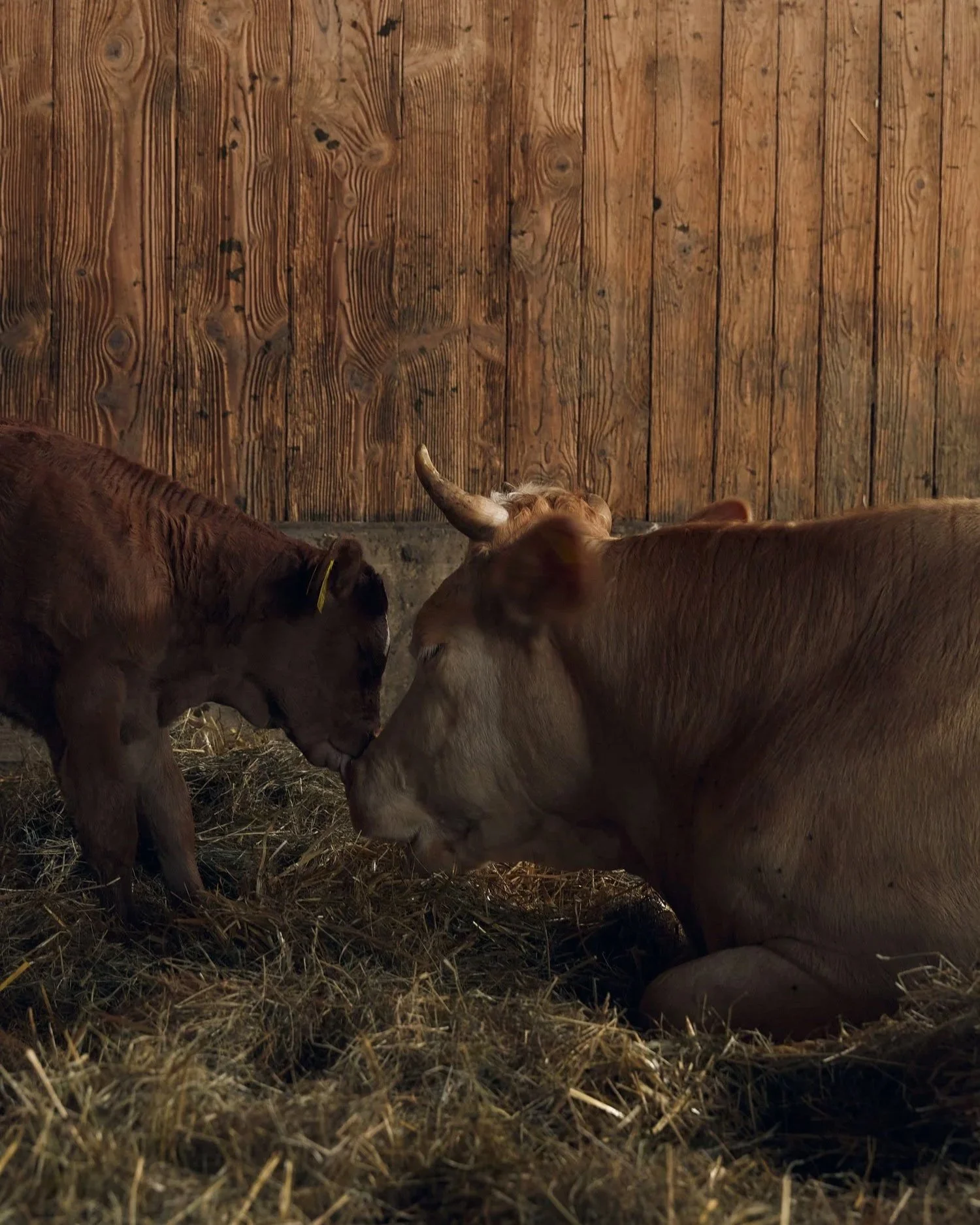 Vertrauen statt Siegel – unsere Haltung zu Zertifikaten