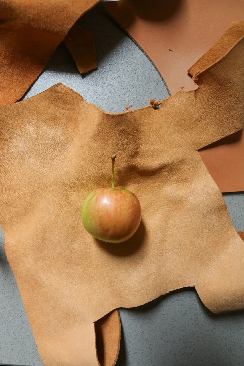Veganes Leder: warum mich dieser Begriff stört