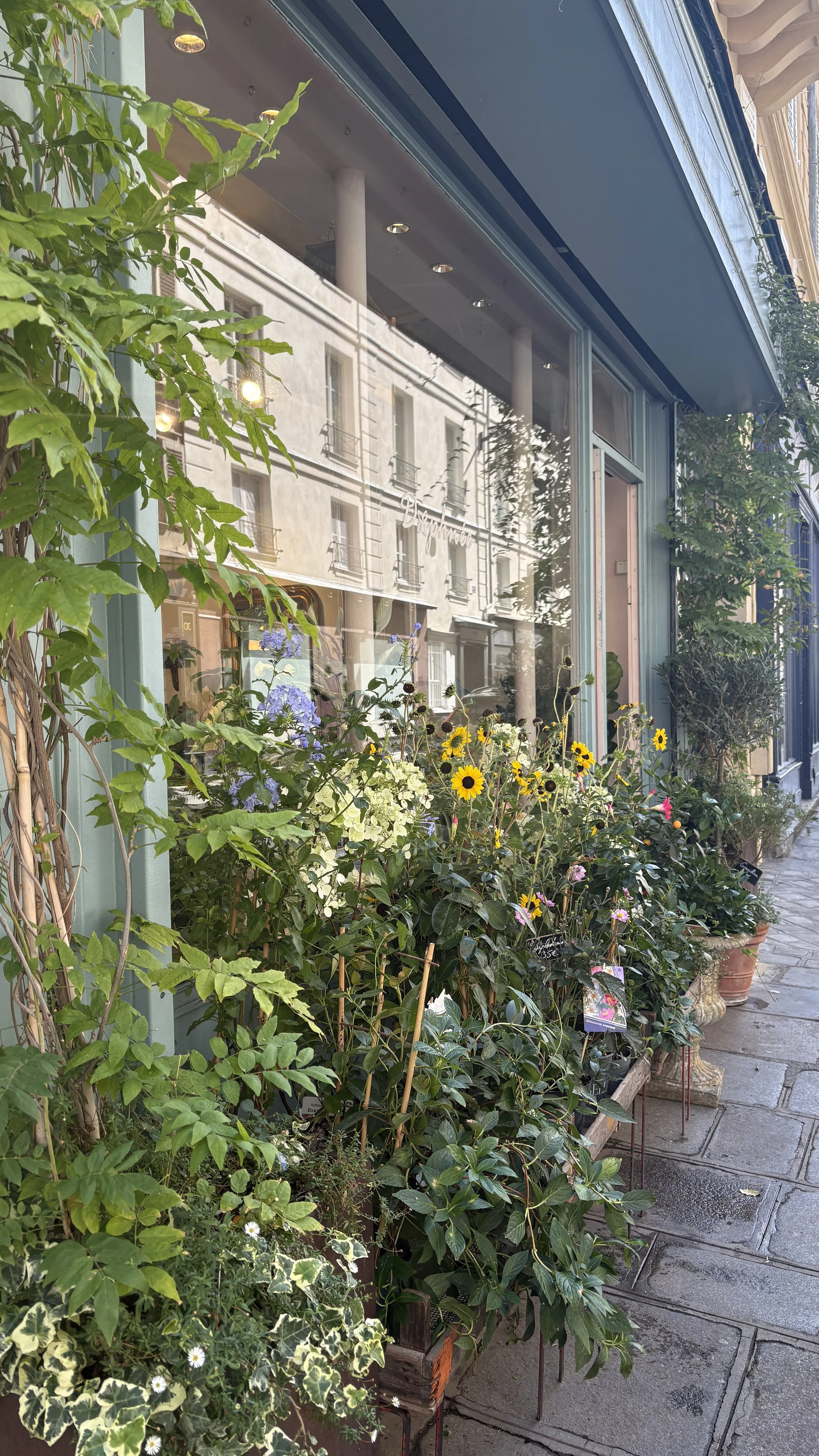 sustainable leather consulting | Nachhaltigkeitsberatung Leder