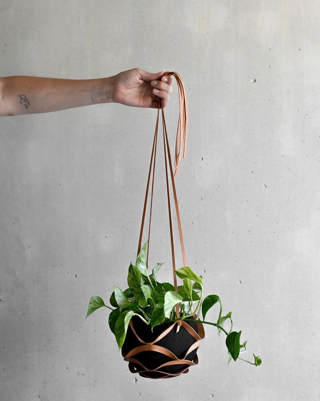 Hänggi plant basket for hanging from alimone