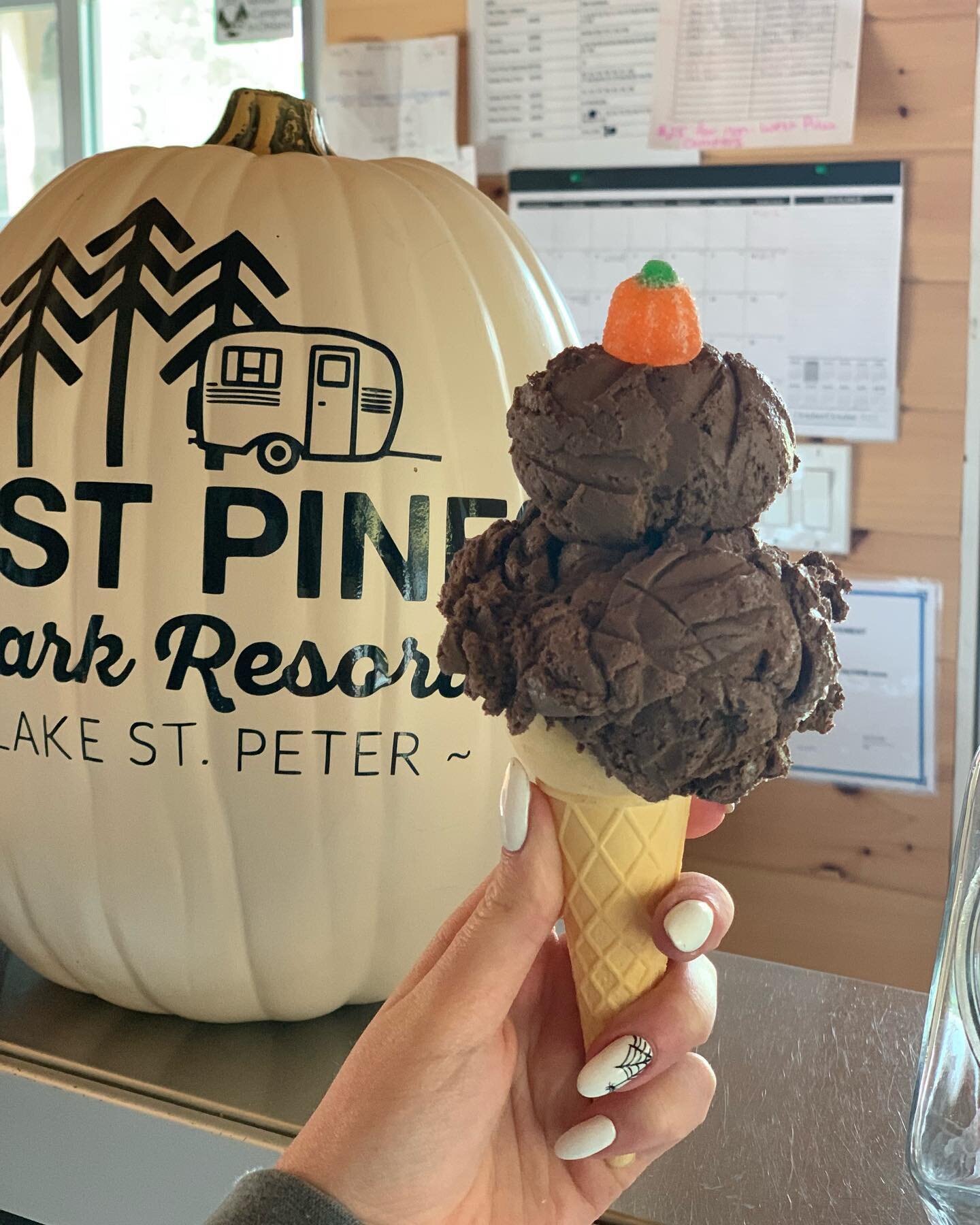 🍁HAPPY THANKSGIVING WEEKEND!! 🍂It&rsquo;s our last weekend open until 2023!! Grab a scoop before it&rsquo;s too late! 

We&rsquo;re open 12-5 today! 

#icecream #pumpkin #pumpkinpie #chocolateicecream #thanksgiving #thanksgivingweekend #fall #westp