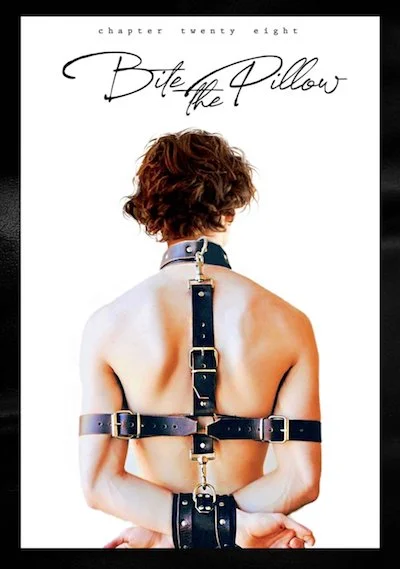 Chapter 28 - 'Bite The Pillow'