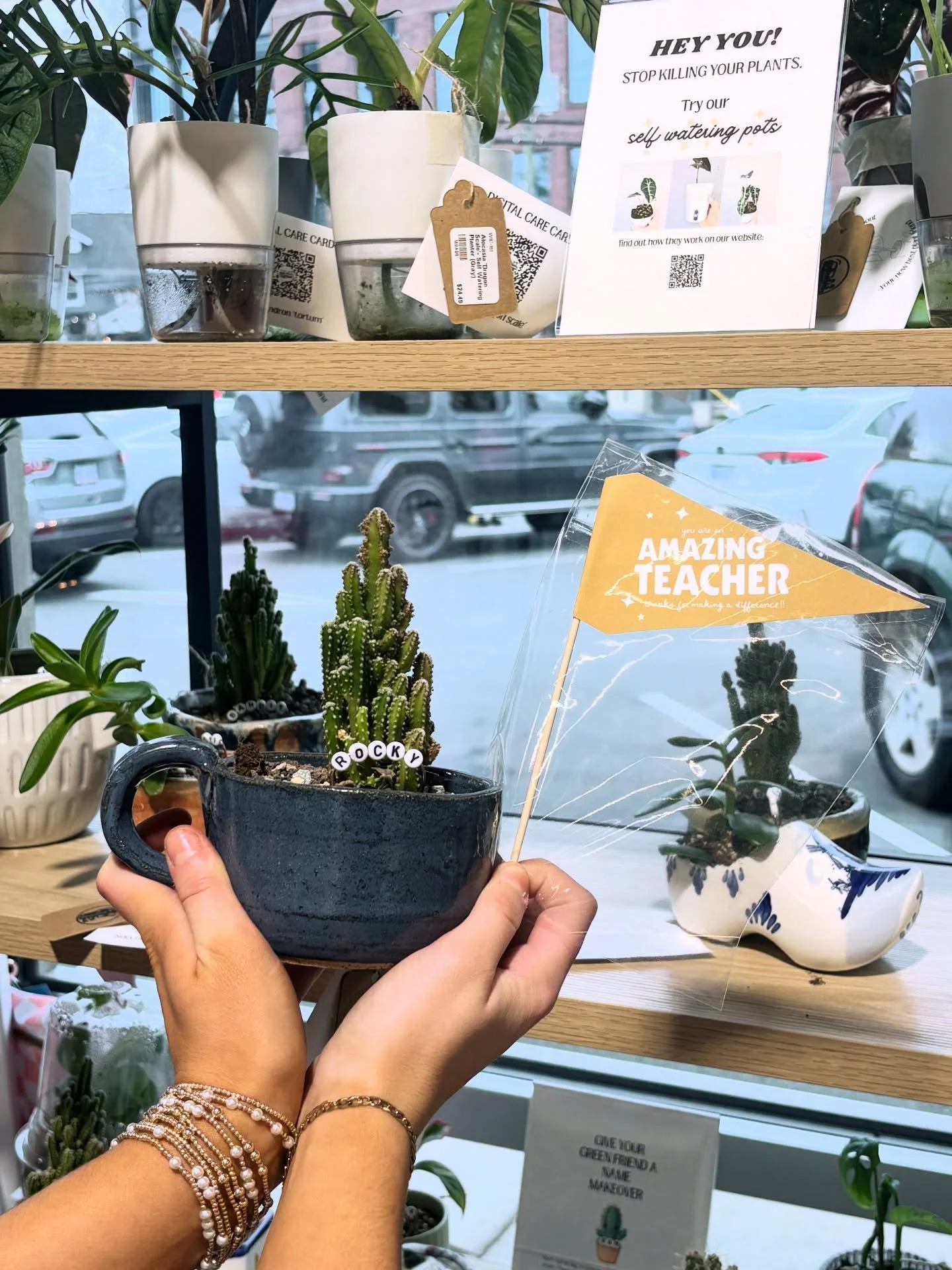 Meet our sweet friend Rocky! 🌵🤠

Find @plantpickup here at Local Focal Charlotte! 

&mdash;&mdash;&mdash;&mdash;&mdash;&mdash;&mdash;&mdash;&mdash;&mdash;&mdash;&mdash;&mdash;&mdash;&mdash;&mdash;&mdash;&mdash;
𝐇𝐎𝐔𝐑𝐒:
𝐒𝐮𝐧 - 𝐓𝐡𝐮𝐫𝐬 𝟏𝟏?