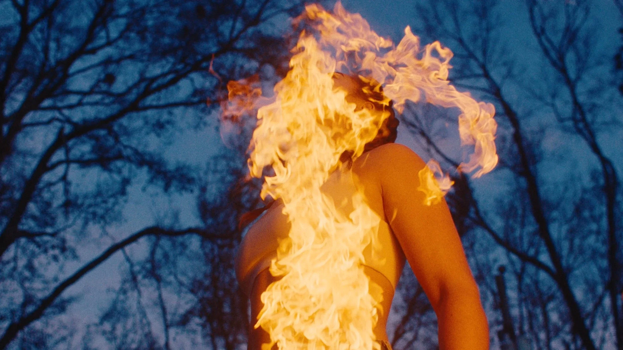 zella: the work of art