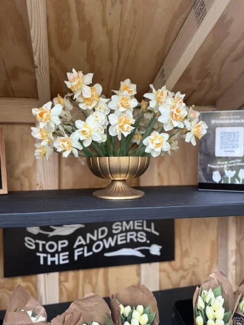 daff1.jpg
