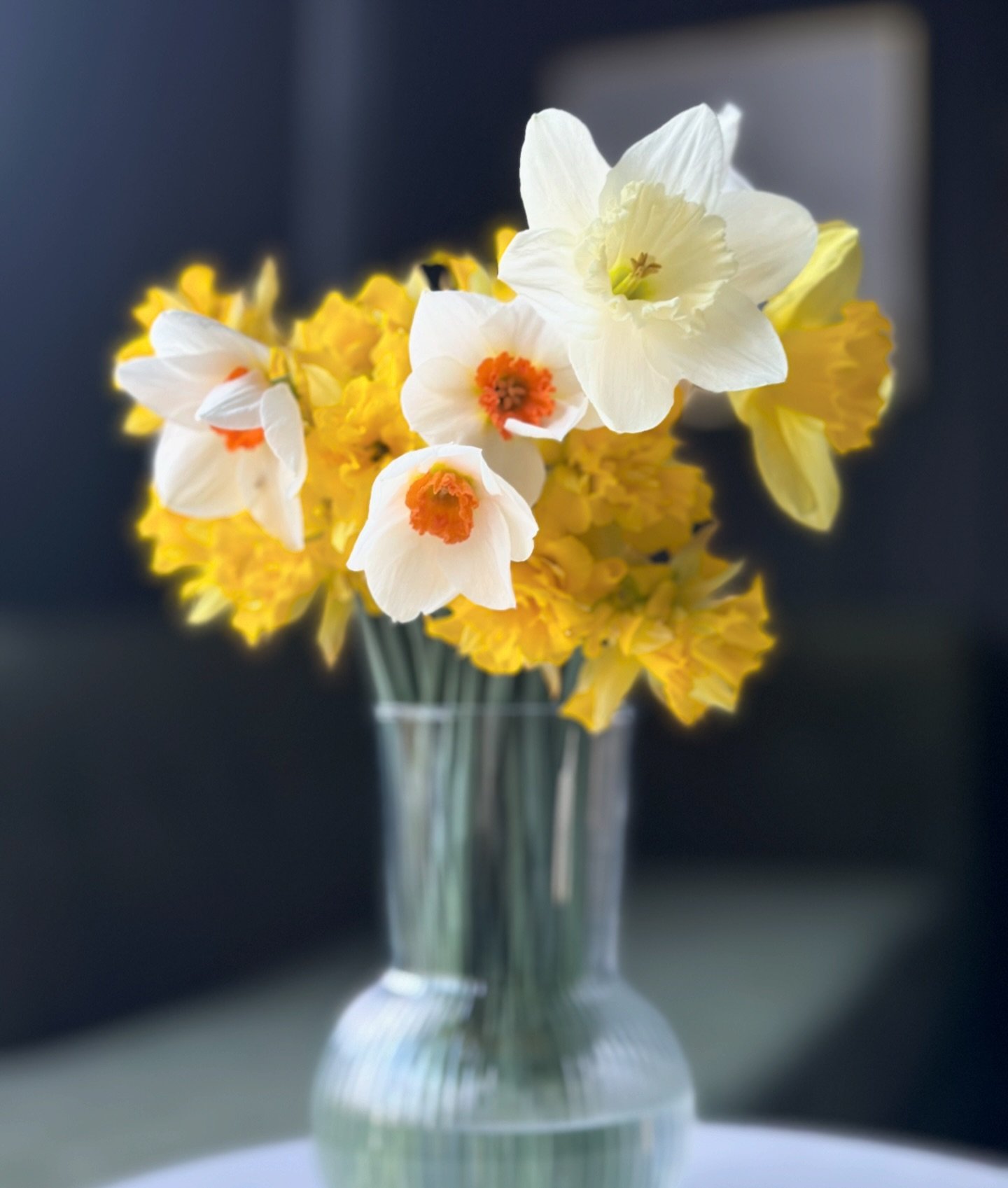 🌼 Spring has sprung 
.
.
.
#daffodils #spring