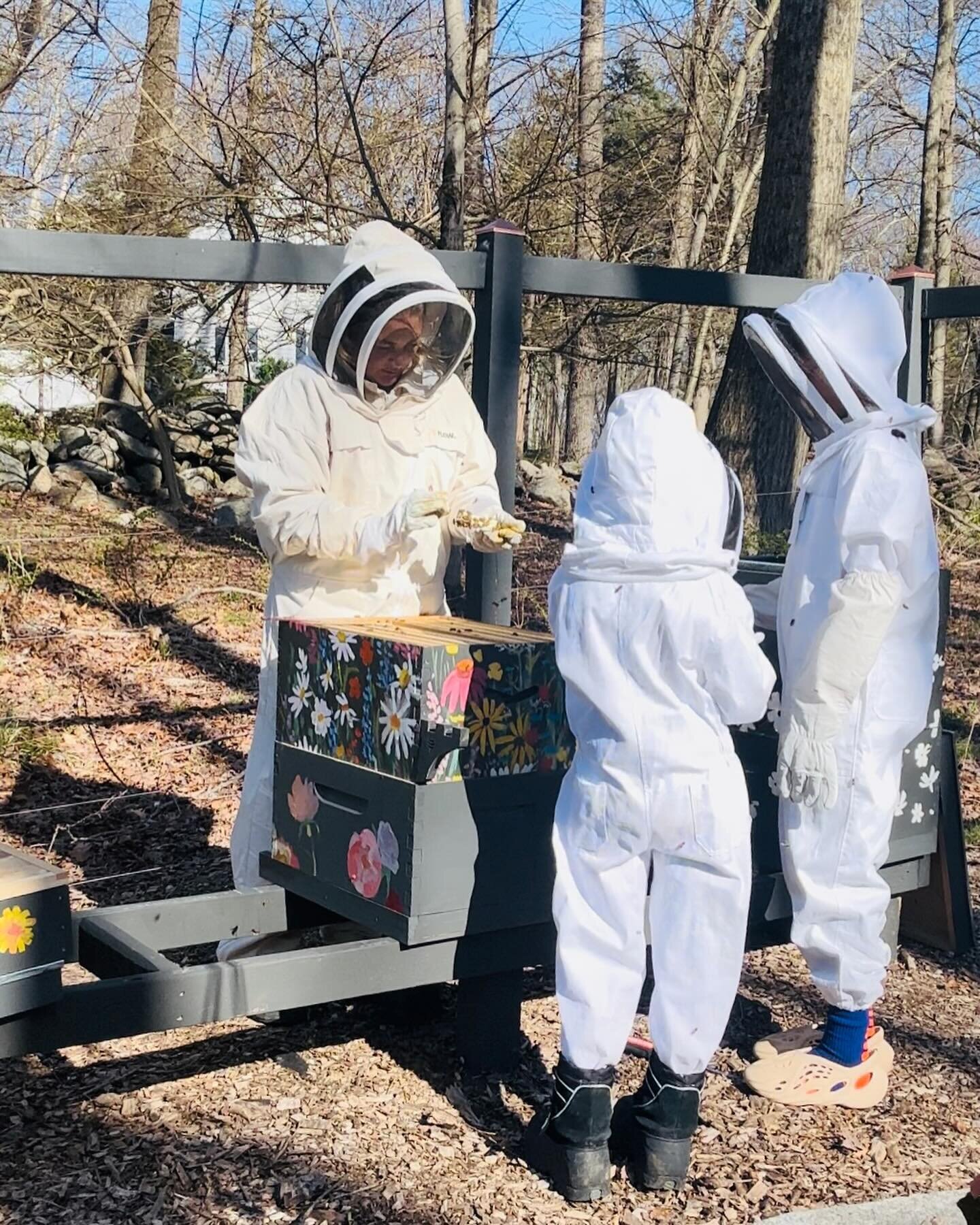 Hung out with around 30,000 bees today! Our hives are installed and we are hoping for the best this season 🐝🌷😍 #beekeeping #bees #savethebees