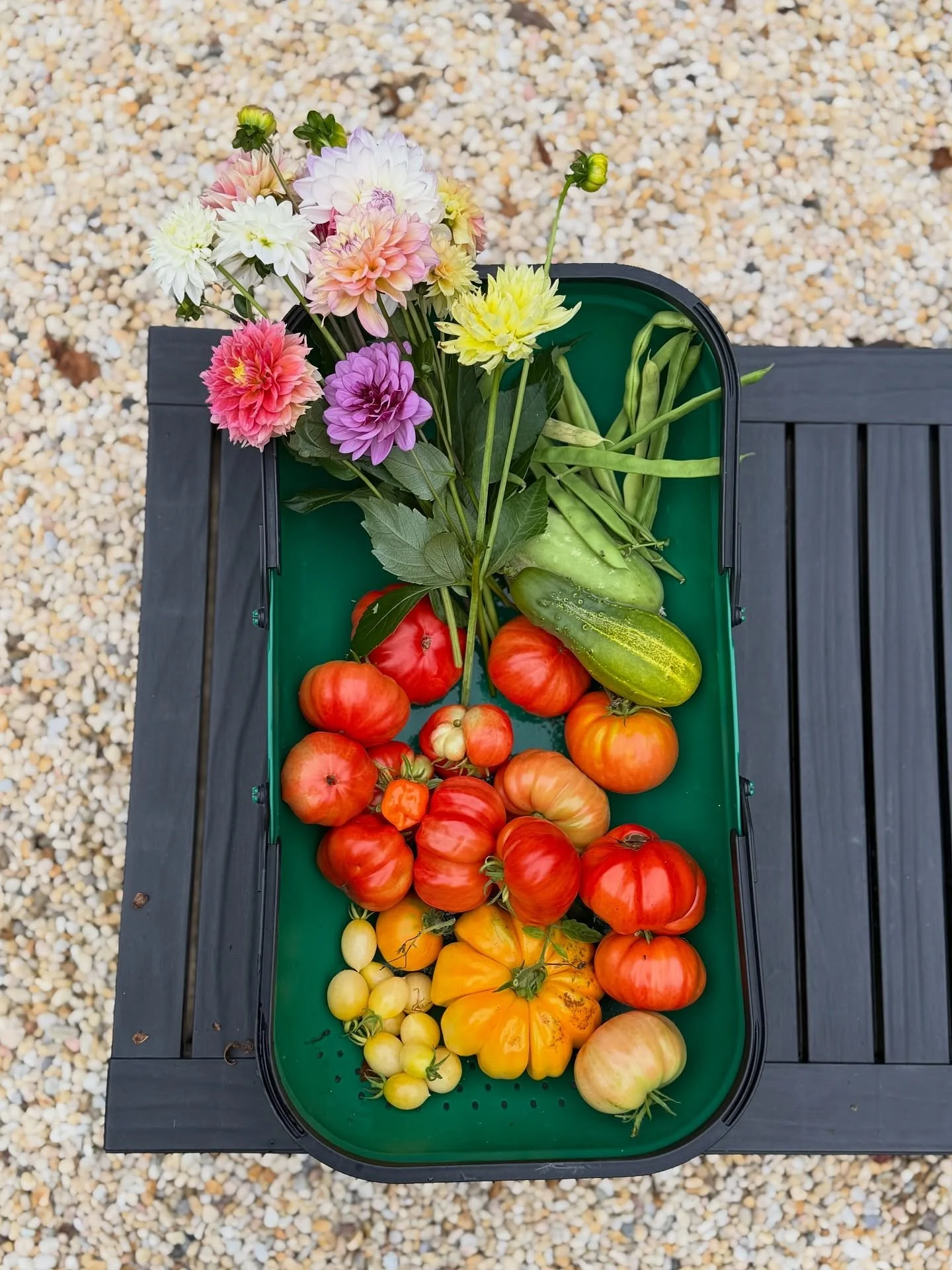 The Fall garden is the gift that just keeps on giving 💐🍅🥒🌶️💚