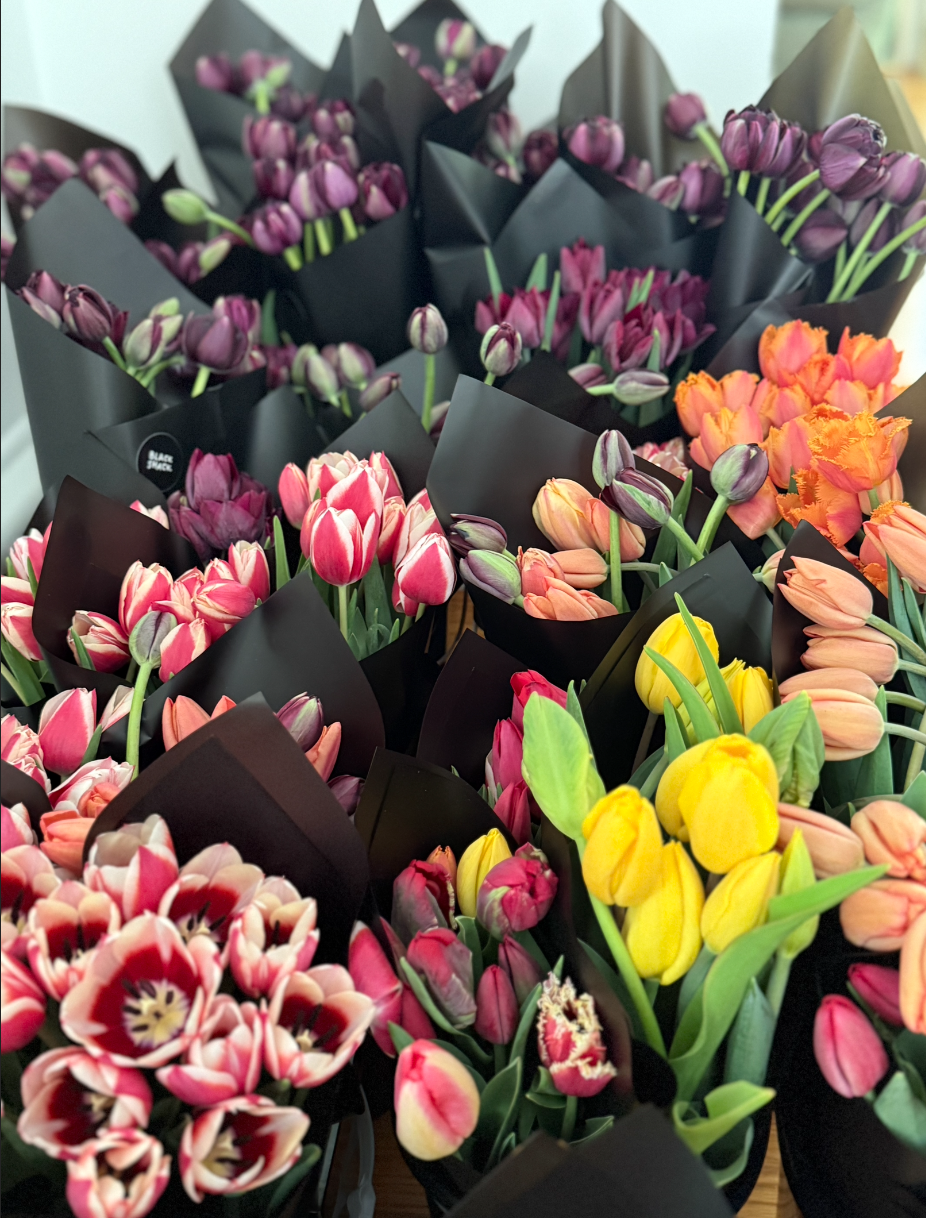 Screenshot 2025-11-08 at 11.51.30 AM.png