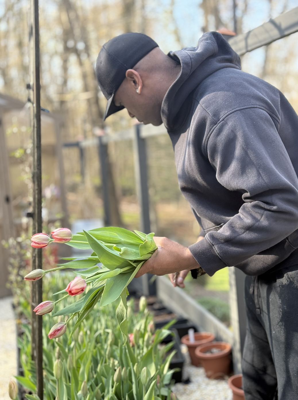 Screenshot 2025-11-24 at 1.54.17 PM.png