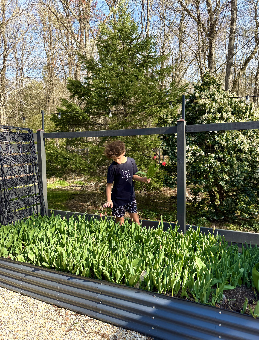 Screenshot 2025-11-24 at 1.50.56 PM.png