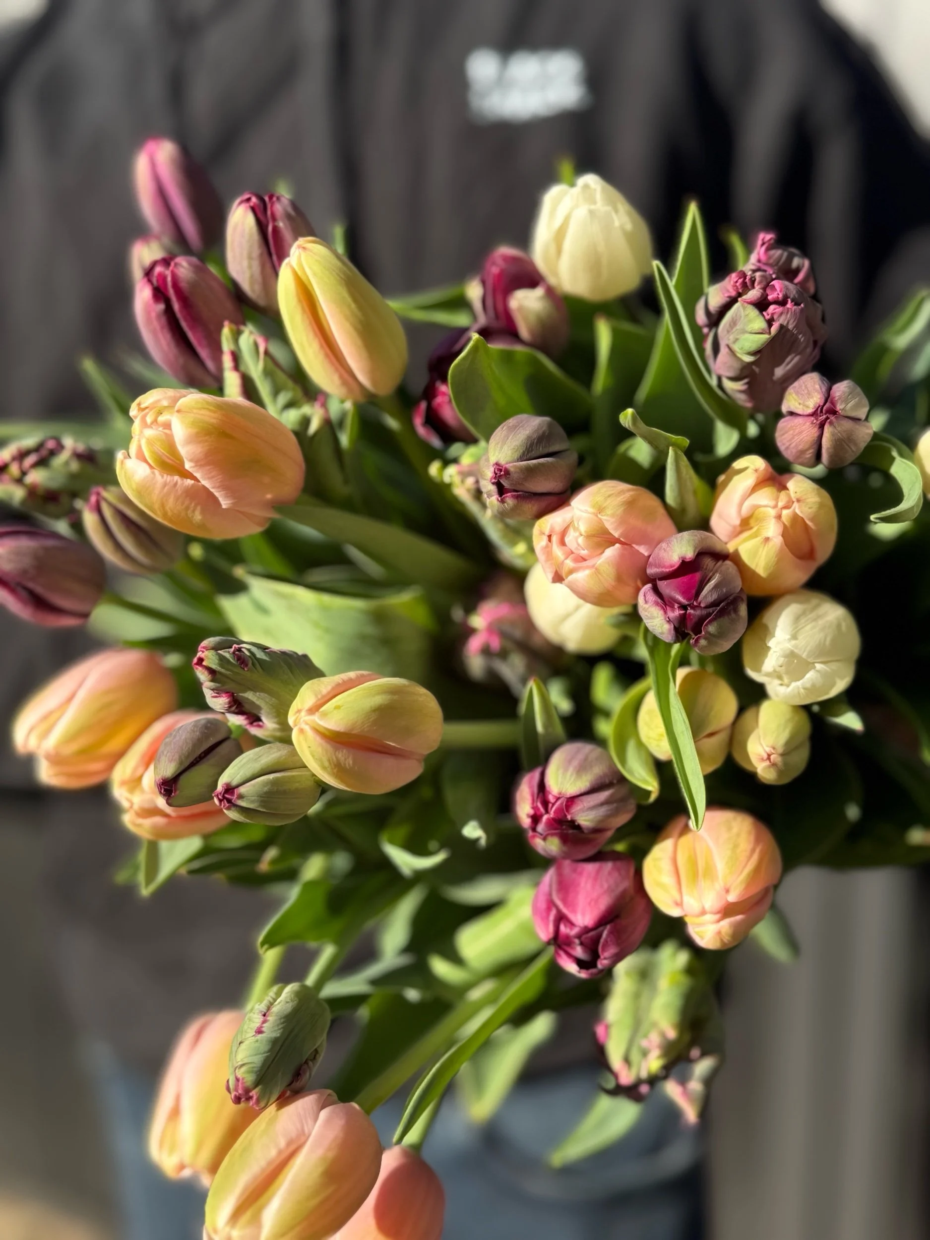 What’s Blooming Now