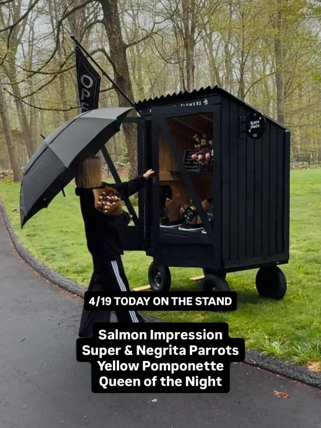 Rainy days call for flowers. 🌷☔️

We just stocked the stand with fresh, locally grown tulips this morning. It&rsquo;s a good day to come grab a bundle and bring a little color home.

We won&rsquo;t be restocking this afternoon, so once they&rsquo;re