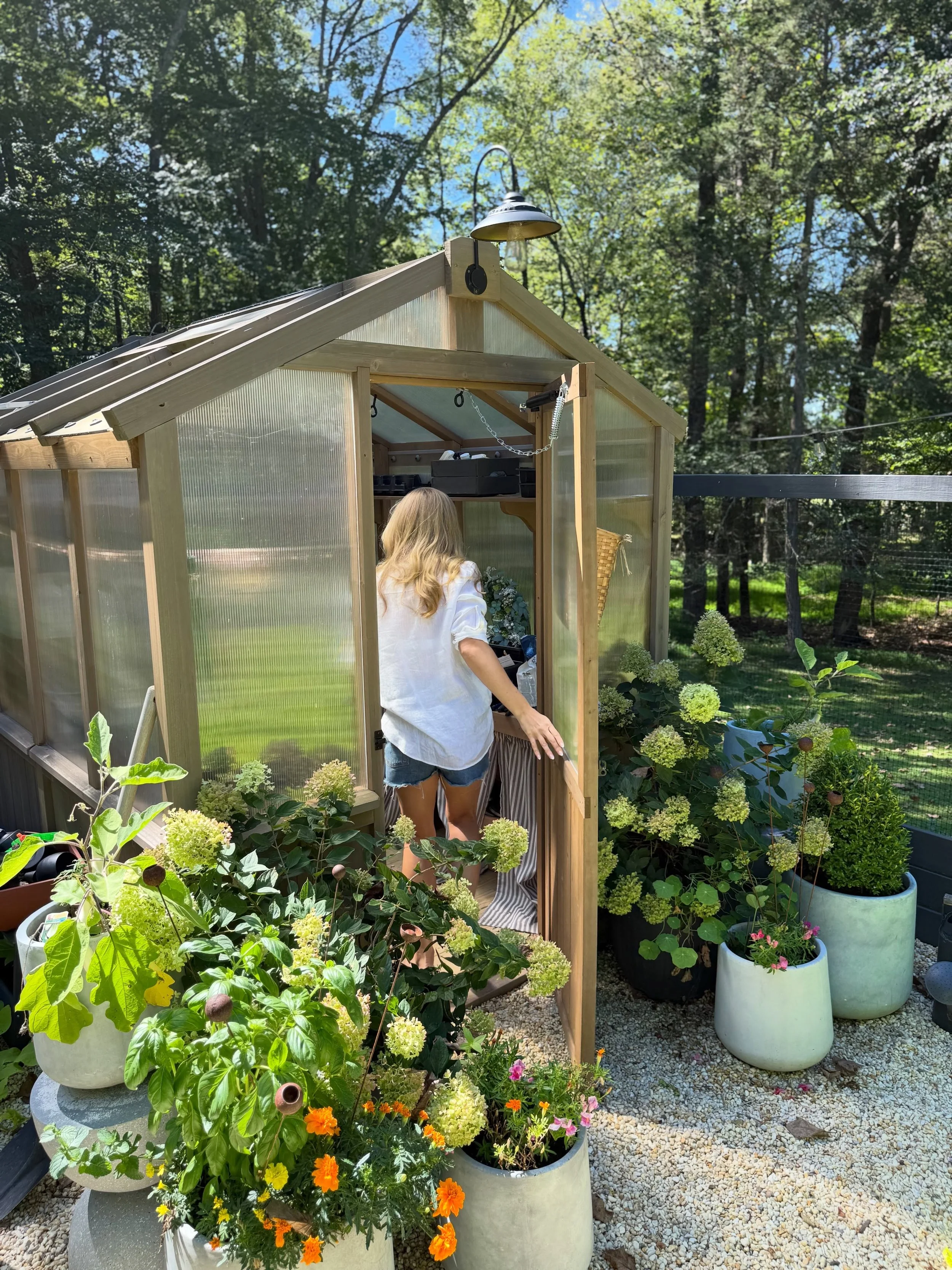 Tulip season may be short, but the garden keeps going. 🌱

We&rsquo;ve been busy planting seeds for herbs, vegetables and summer flowers. We grow absurd amounts of cucumbers for pickling, tomatoes for sauce, plus dahlias, ranunculus, zinnias, cosmos 