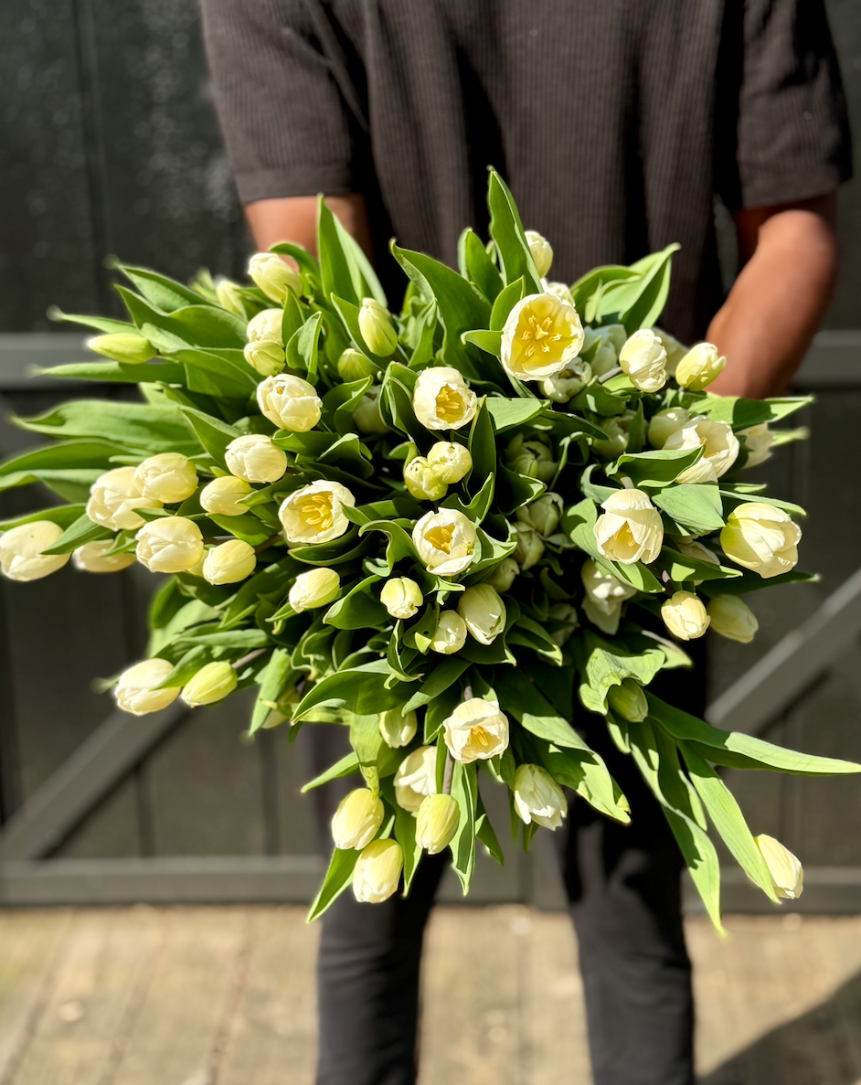 Screenshot 2026-04-15 at 8.01.33 PM.png