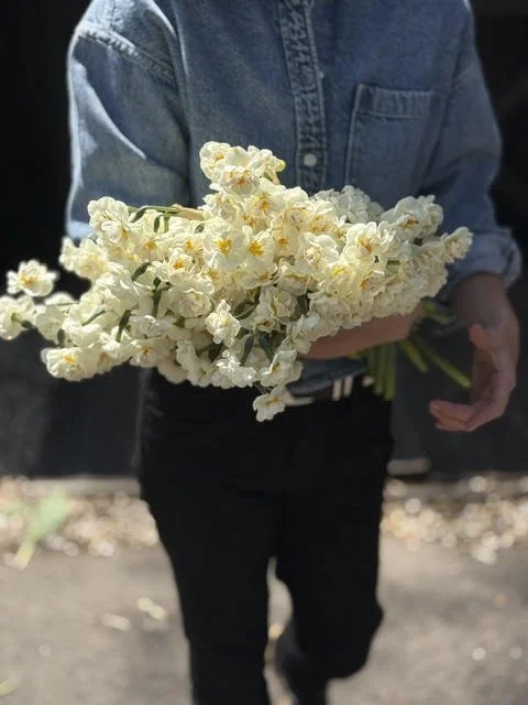 daff4.jpg