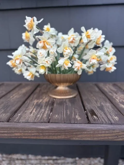 daff7.jpg