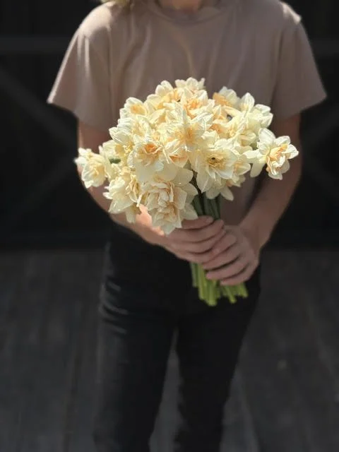 Daff Share: The Early Bird