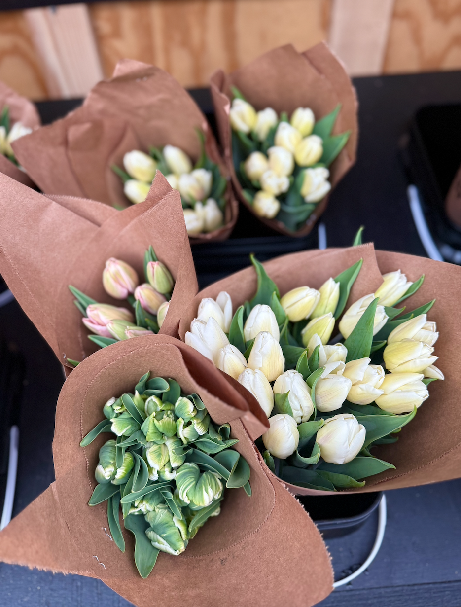 Screenshot 2026-04-15 at 8.01.48 PM.png