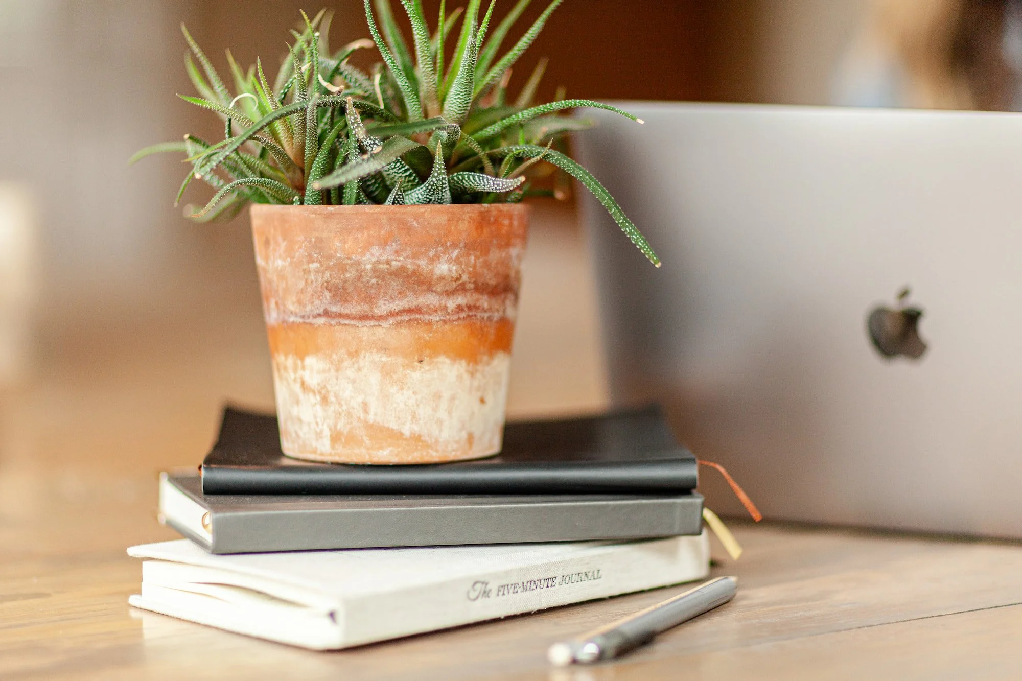 Daily Wins Are Real Success