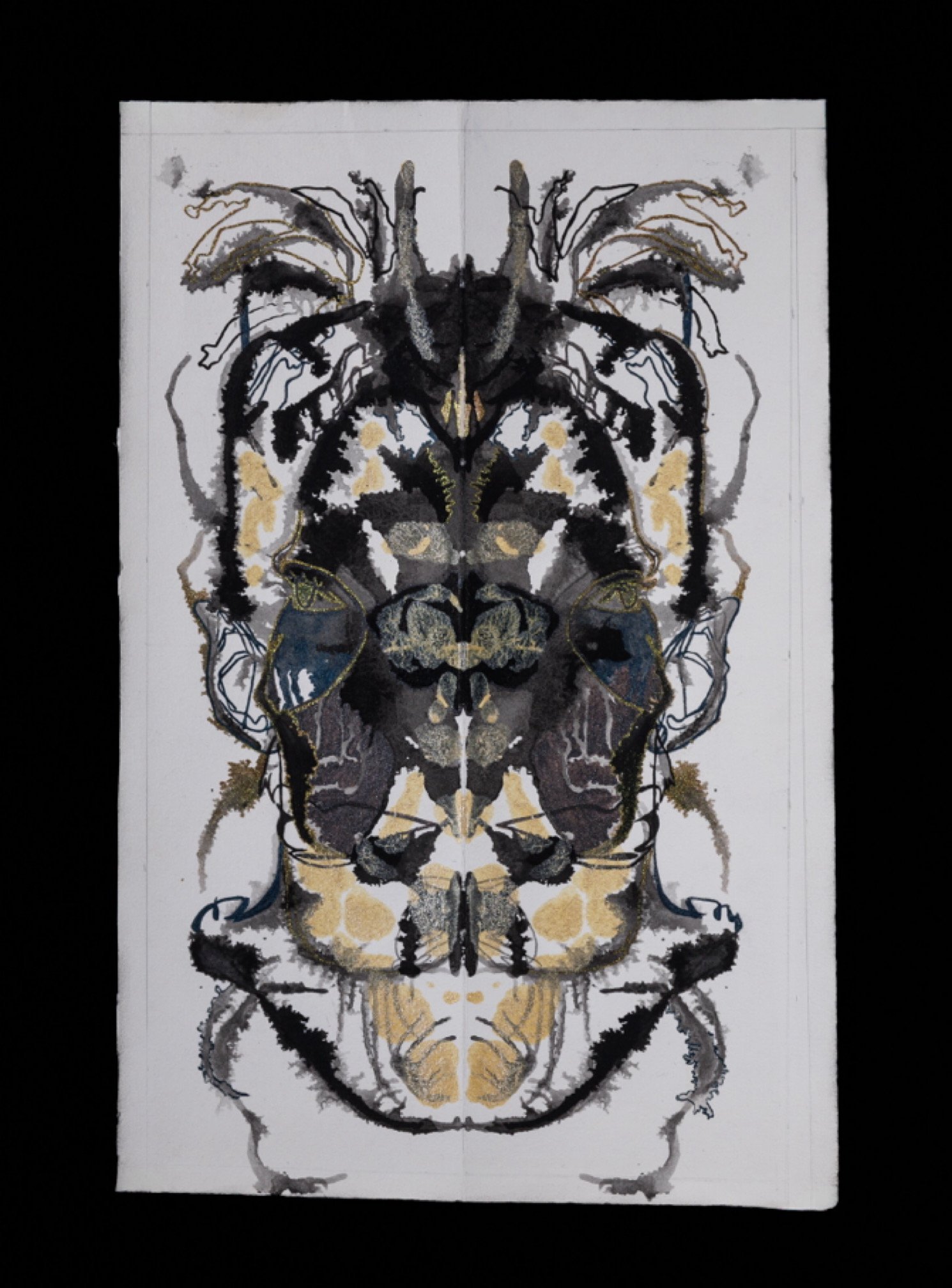Coleoptera, 2024.jpg