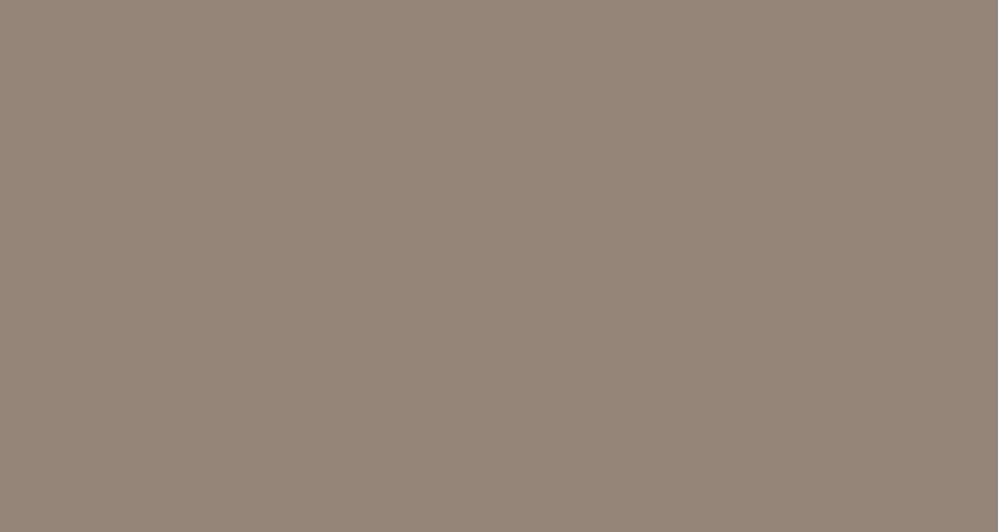 website.png