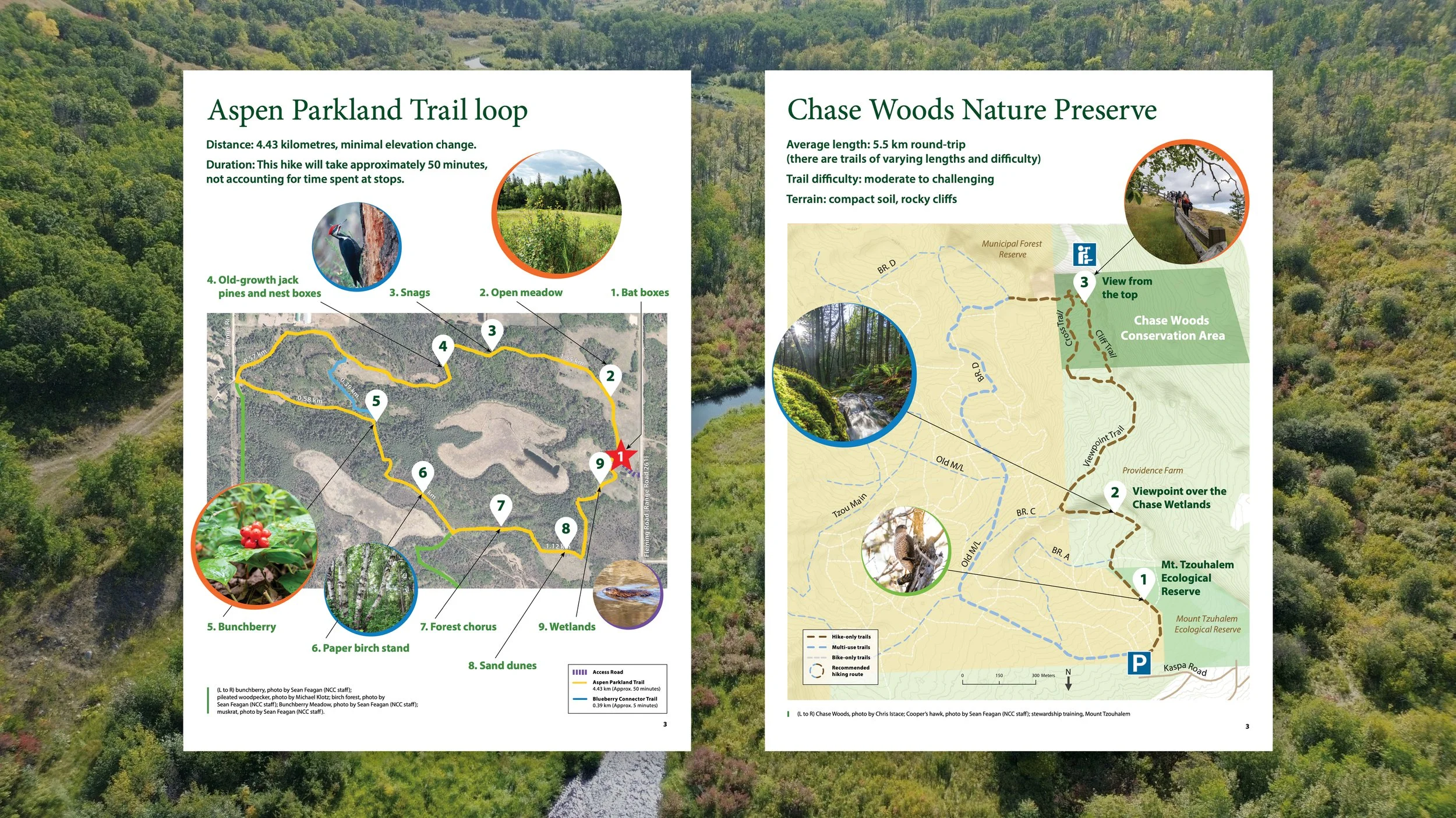 2026 B&P-Web-NCC-BioBlitz5.jpg