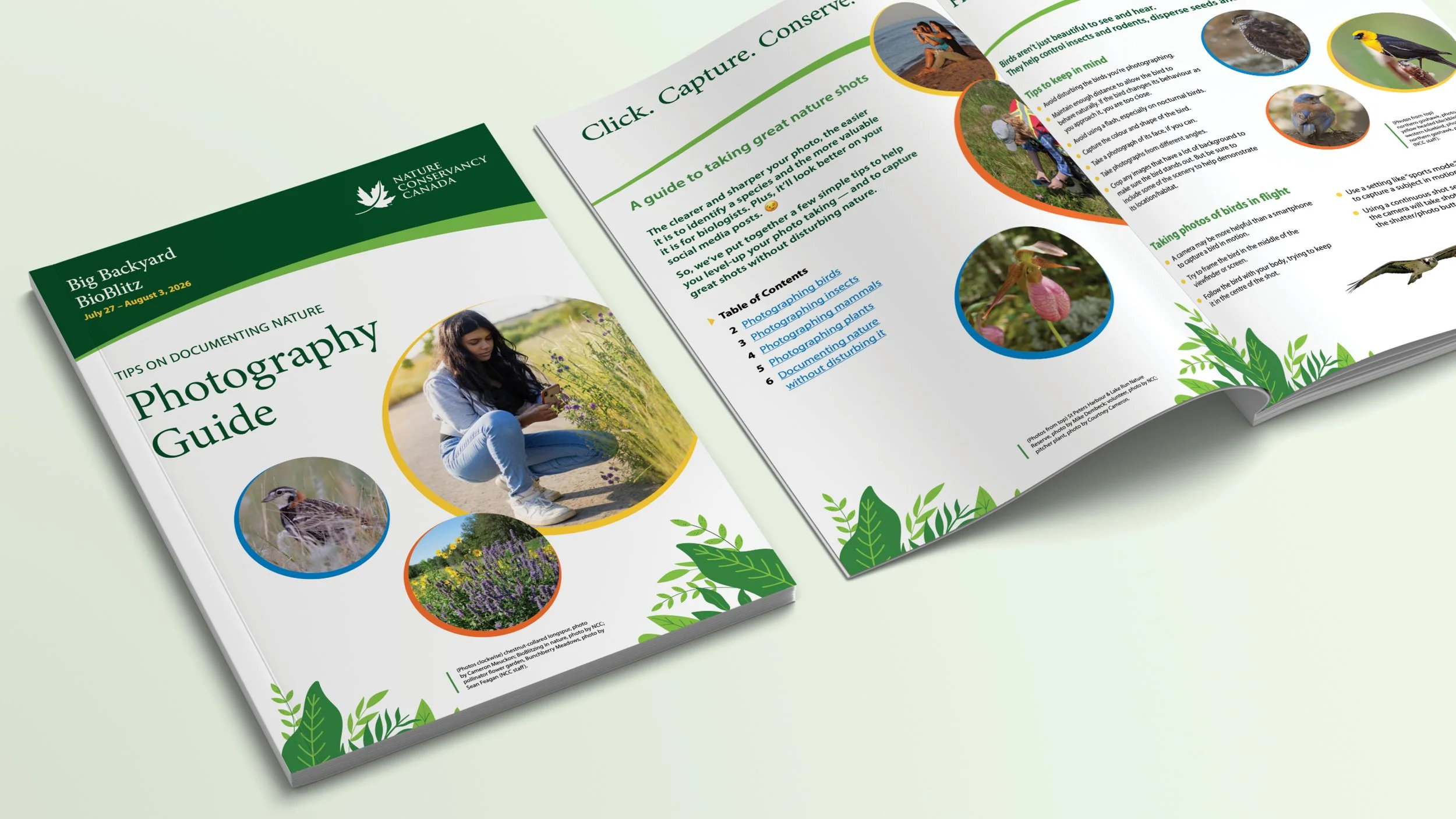 2026 B&P-Web-NCC-BioBlitz7.jpg