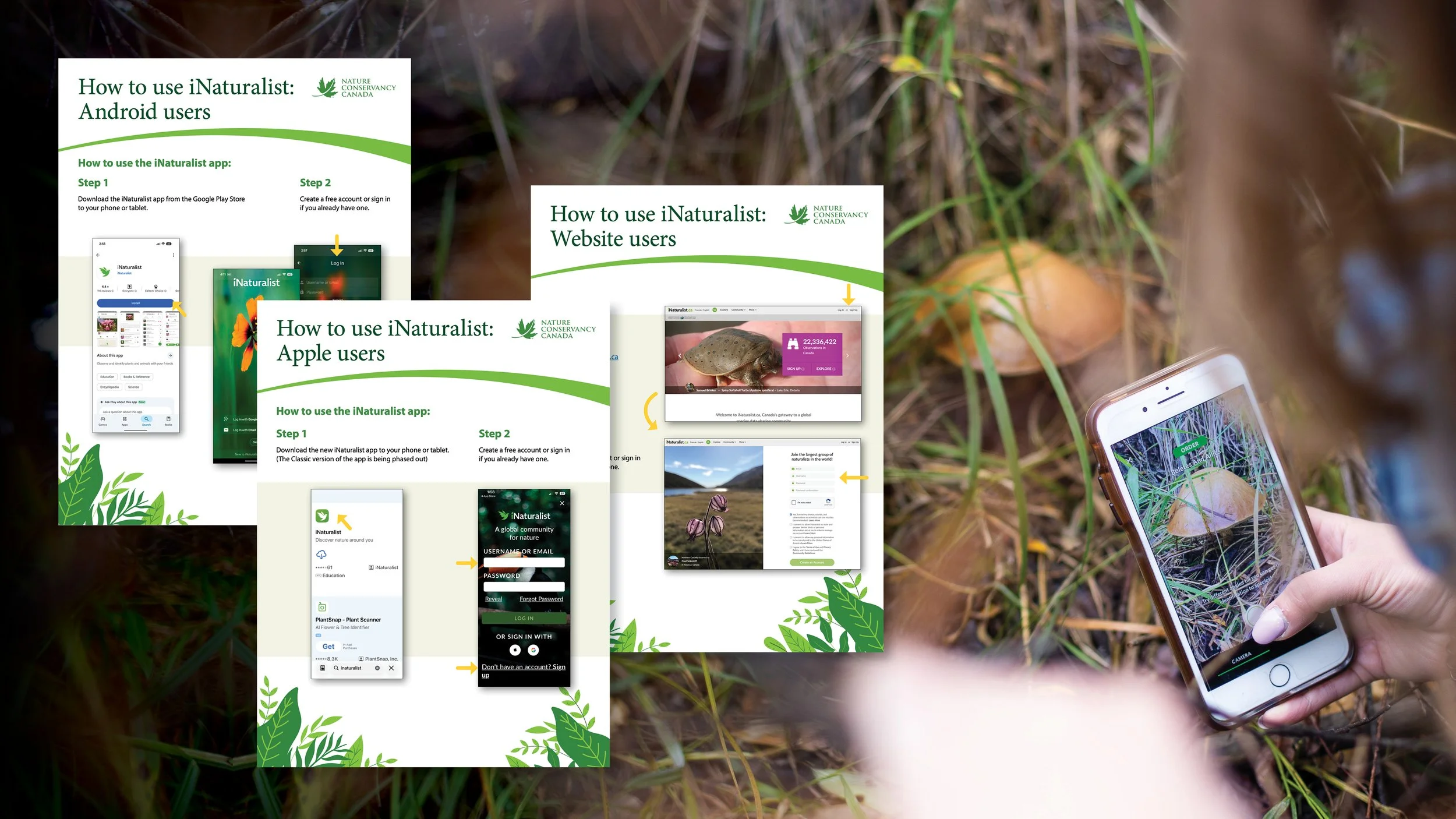 2026 B&P-Web-NCC-BioBlitz8.jpg