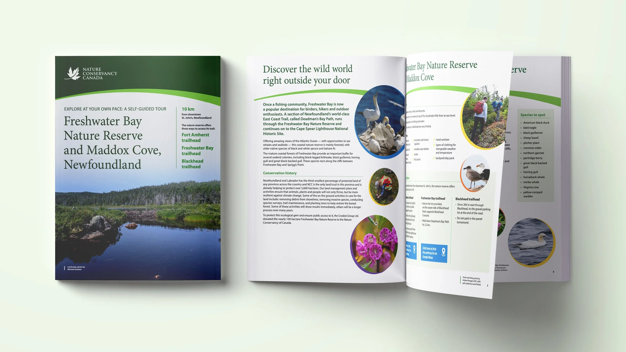 2026 B&P-Web-NCC-BioBlitz4.jpg
