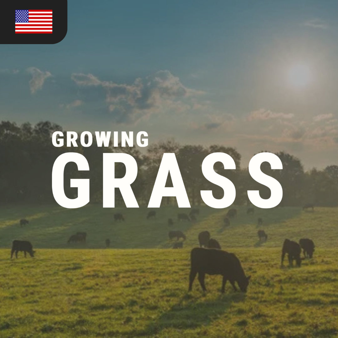 Growing Grass Project - 2026 Stitchdown Expo in Chicago