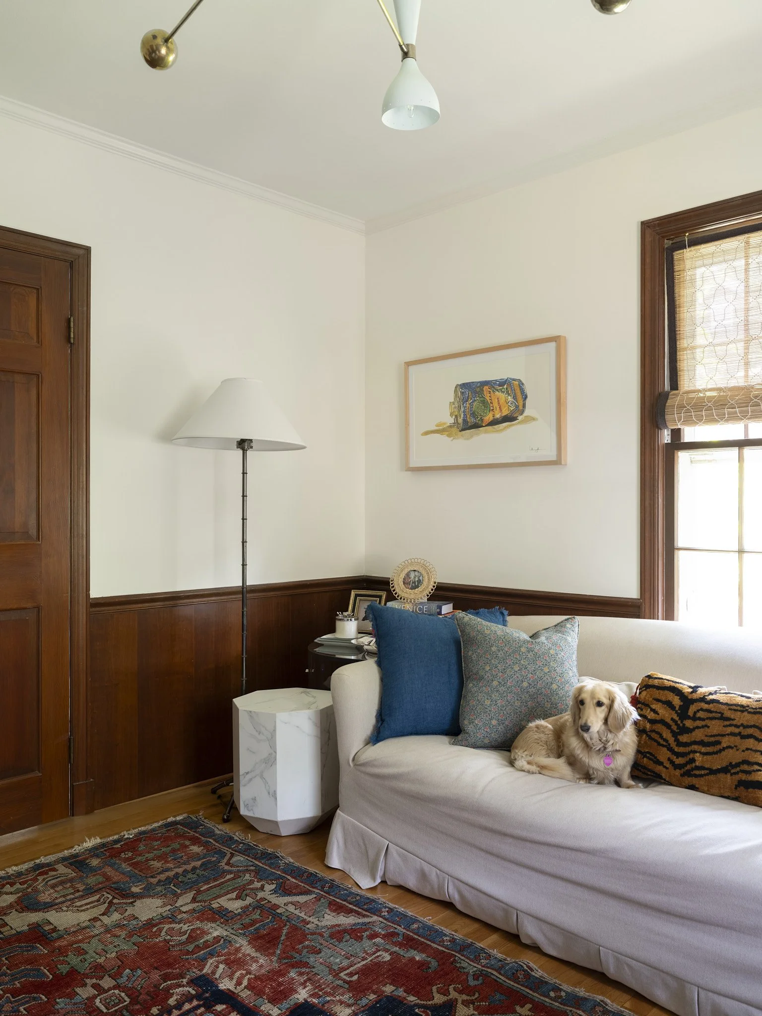 Virginia 5130 Shoot3816.jpg