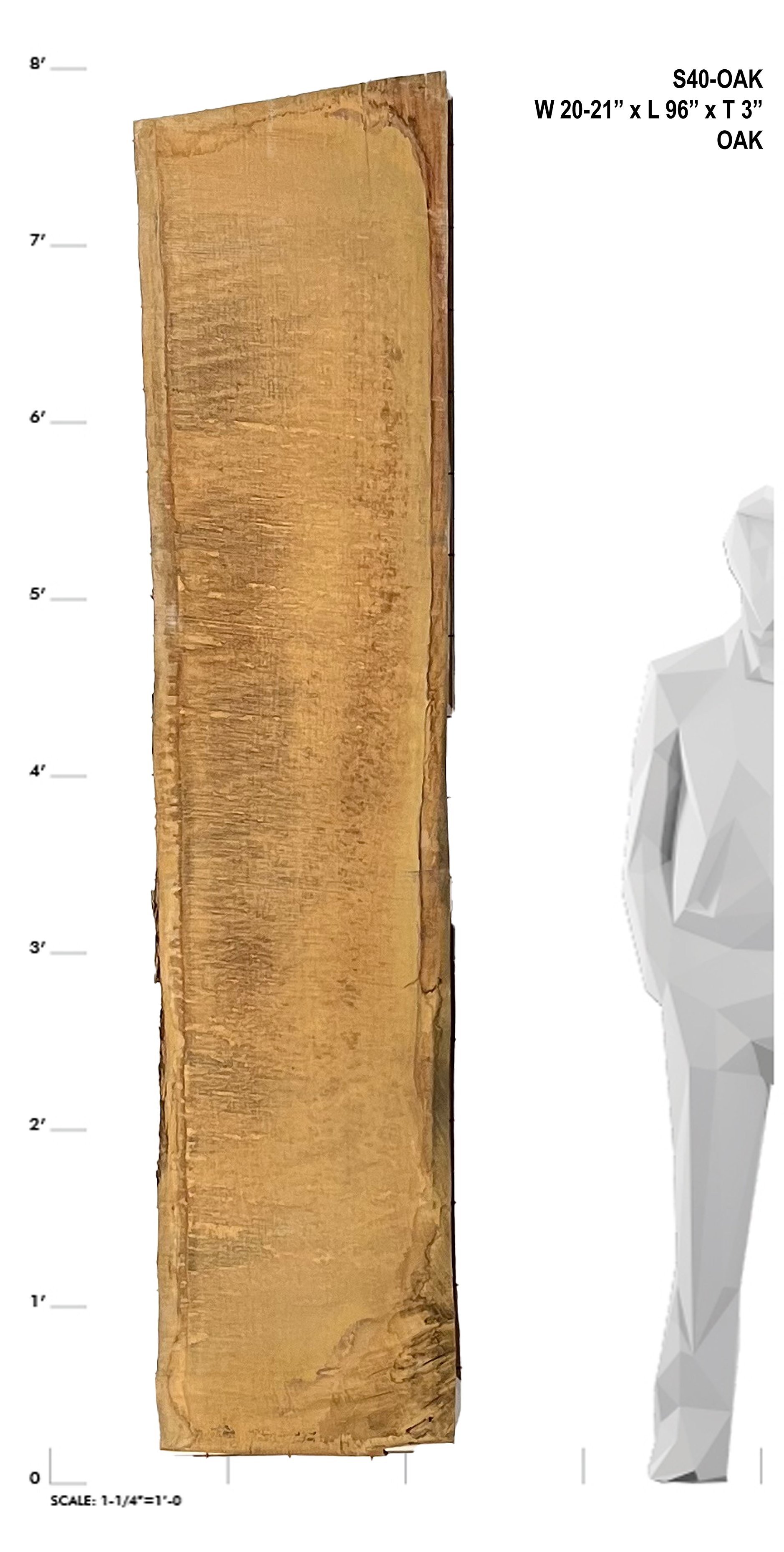 OAK-U-S40
