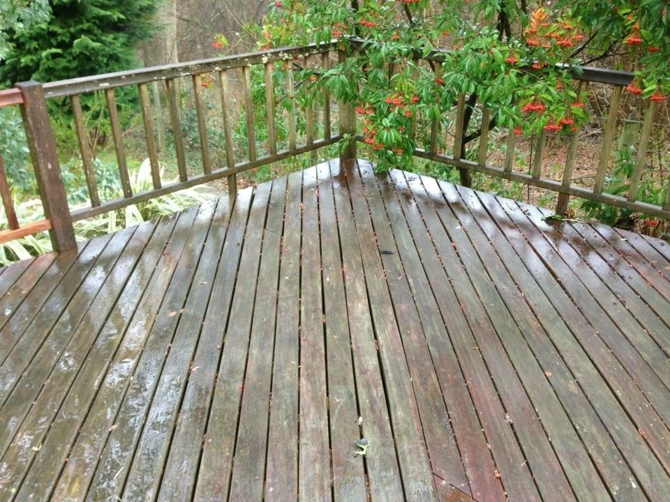 Decking Cleaning Services 1