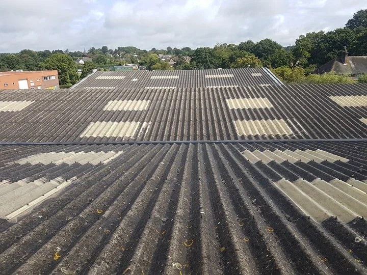 Corrugated metal roof with alternating light and dark panels on a building, surrounded by trees and greenery.