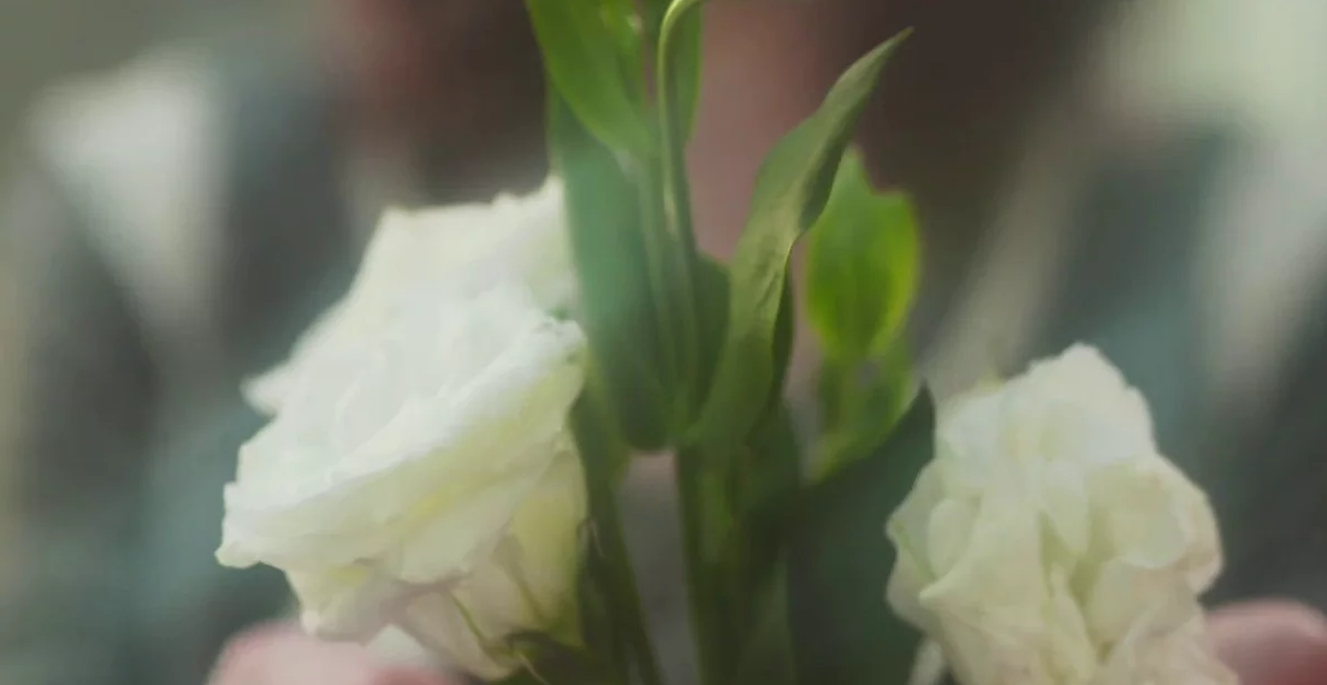 Screen Shot 2017-02-13 at 11.03.39 AM.png