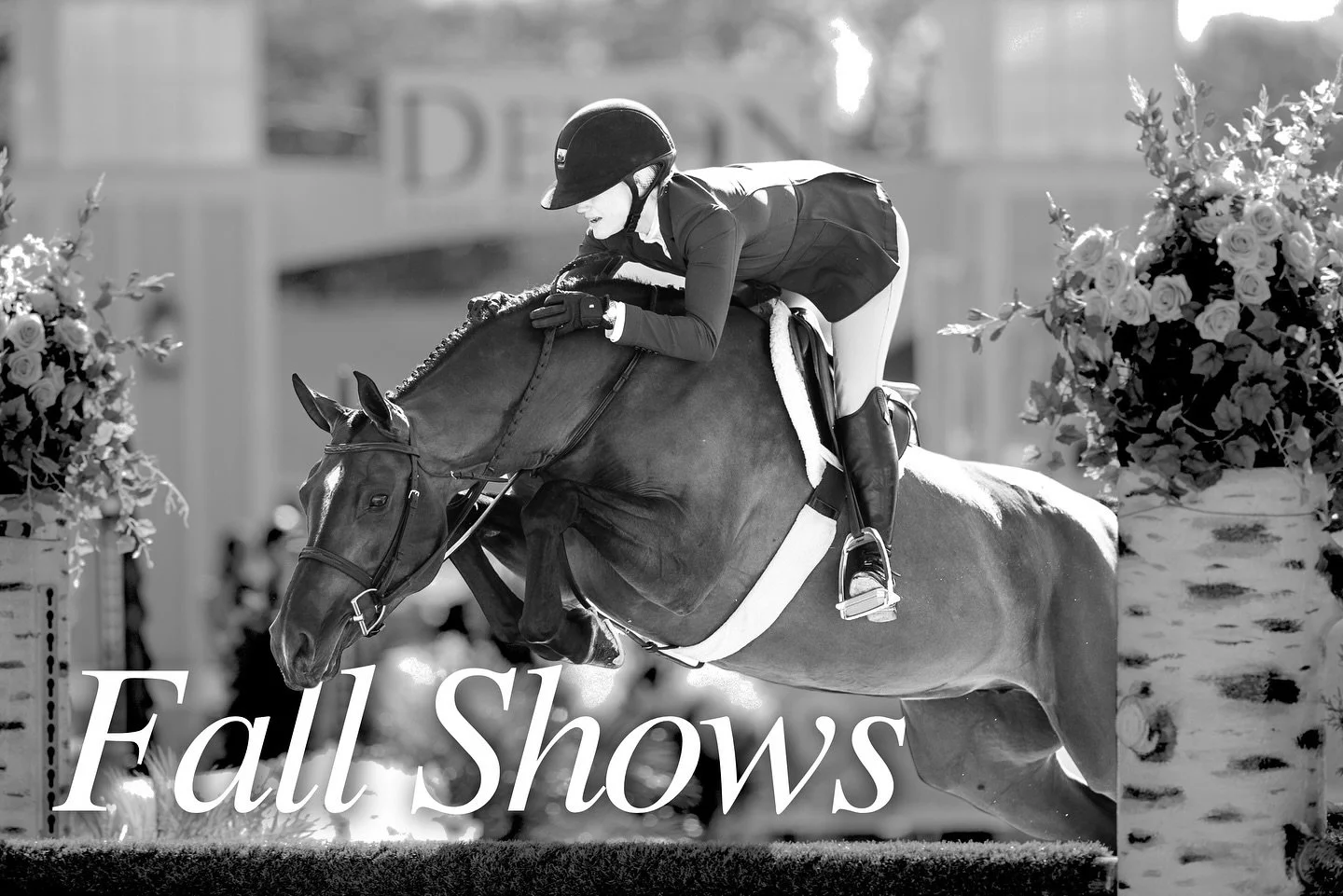 Fall Horse Show Schedule 🗓️

Back on the road for the fall! Excited to be heading to some of my favorite fall horse shows including:

Devon Fall Classic 
Dressage at Devon 
National Horse Show 

#manesourcemedia #horseshow #devon #devonfallclassic #