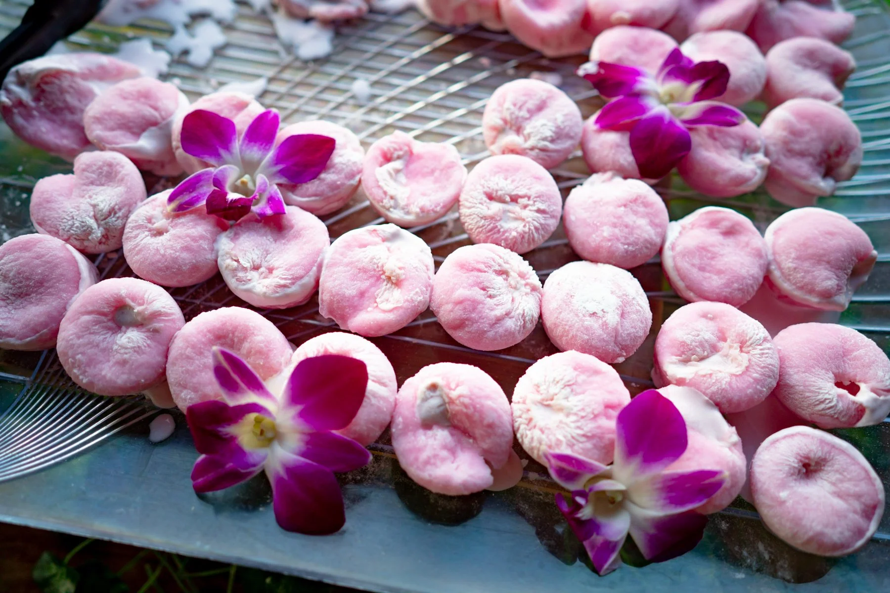 POLARIZED STUDIOS EVENT PHOTOGRAPHY 2023-79.jpg