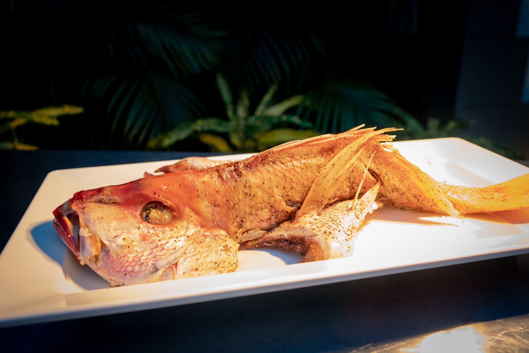 POLARIZED STUDIOS EVENT PHOTOGRAPHY 2023-45.jpg