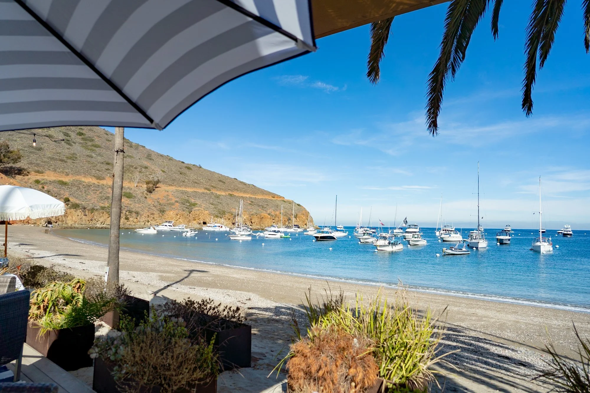 2026 Event (@polarizedstudios)-web-80.jpg