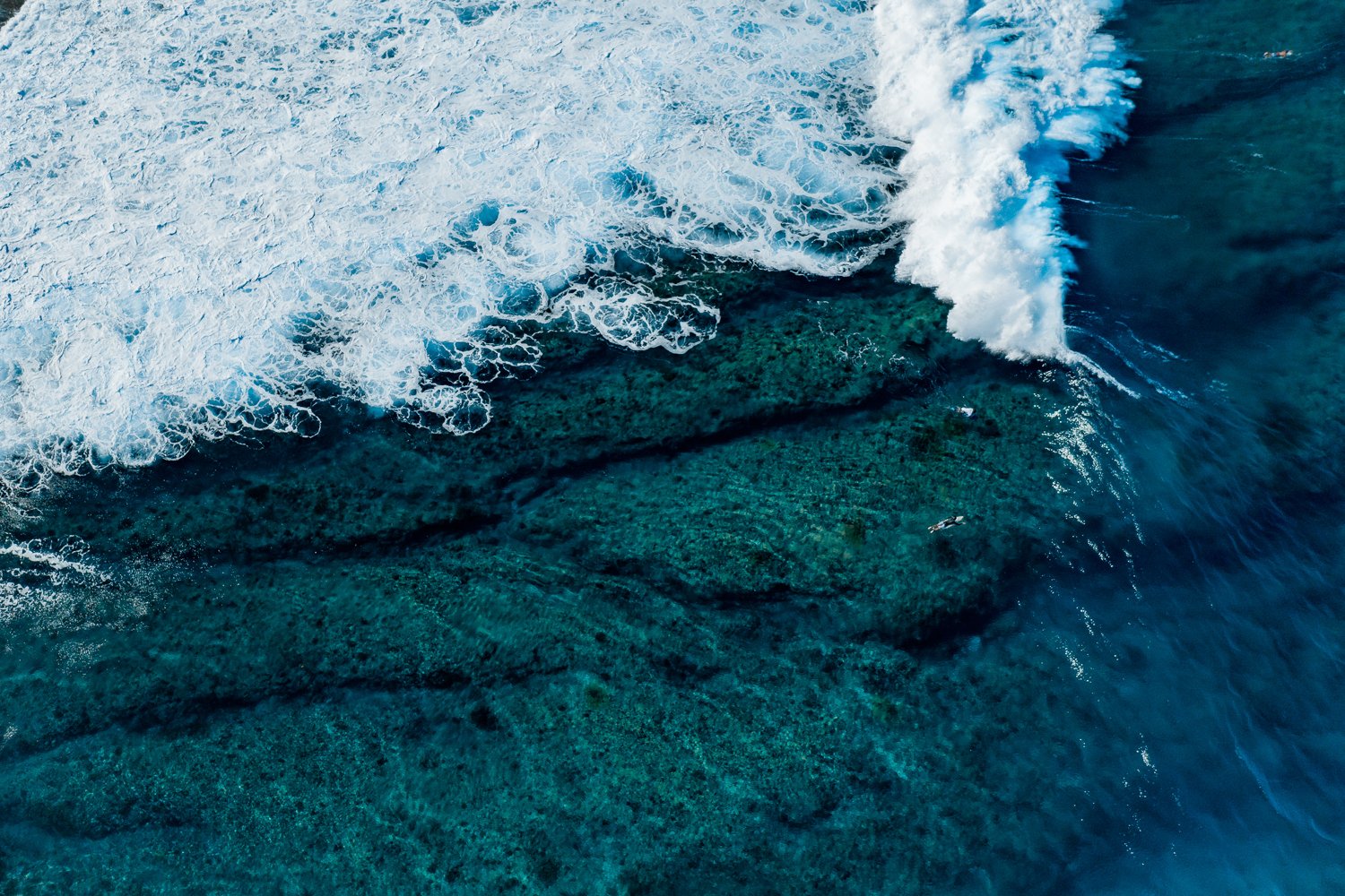 Polarized Location 2023-12.jpg