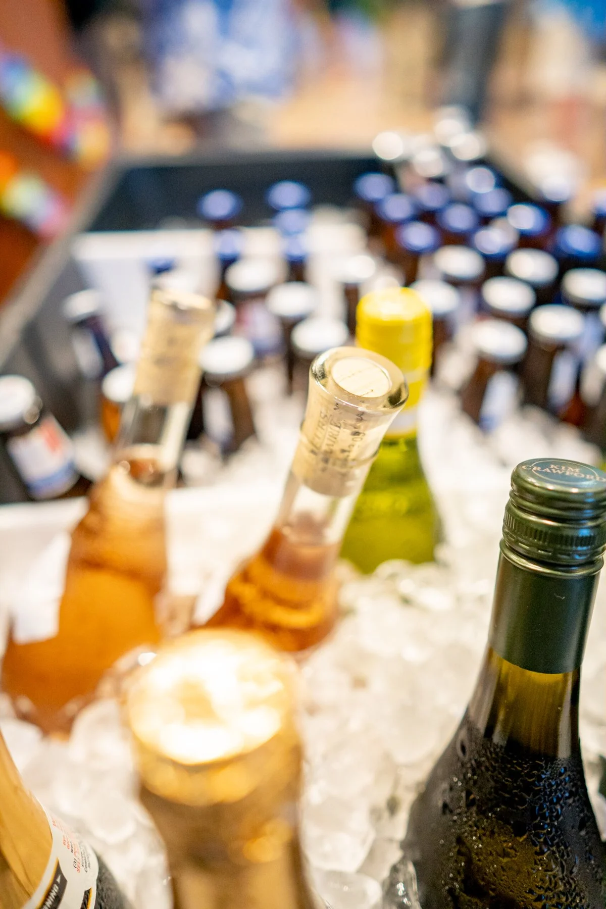 POLARIZED STUDIOS EVENT PHOTOGRAPHY 2023-162.jpg