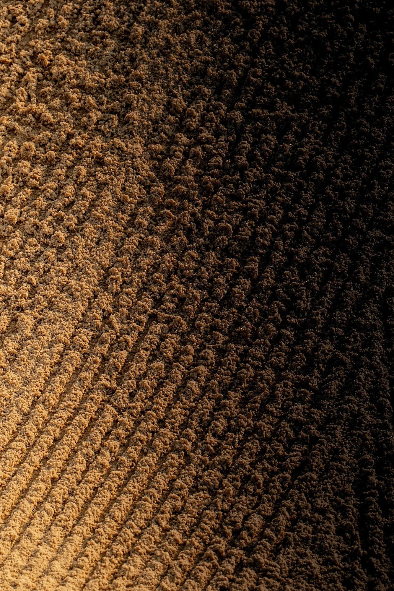 2026 Event (@polarizedstudios)-web-53.jpg