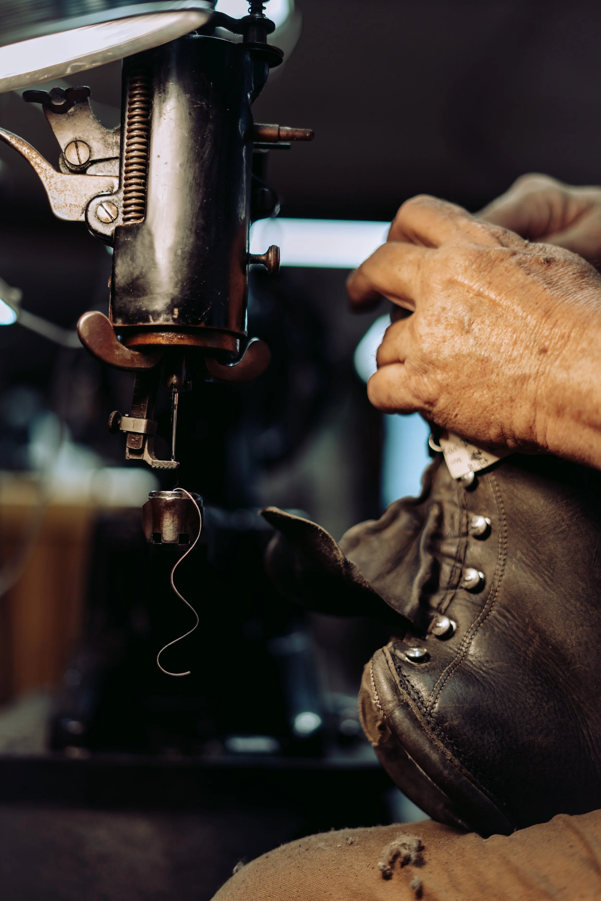 Photo Jul 29 2023, 10 38 52 AM.jpg