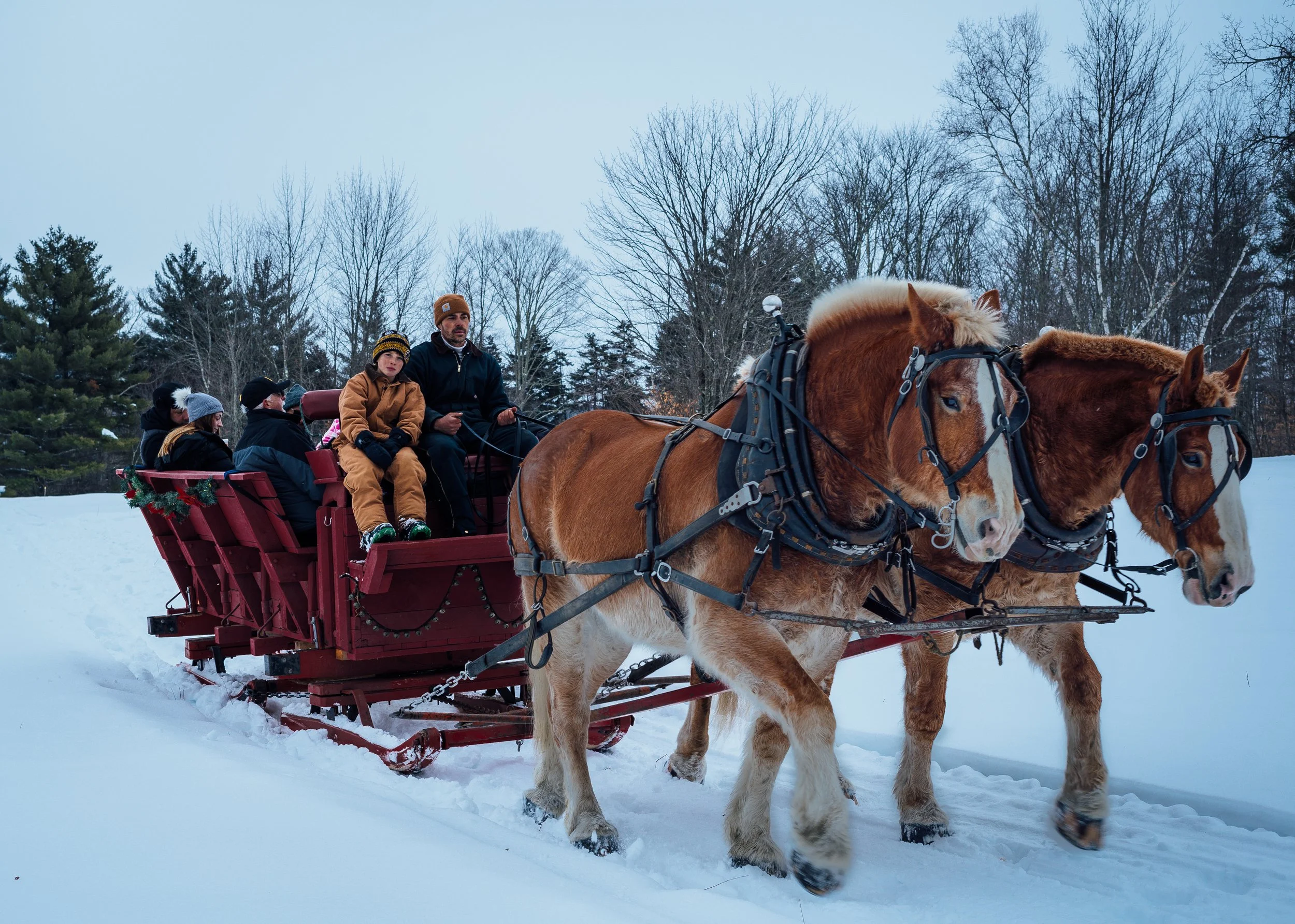 TBHsleighride-7.jpg
