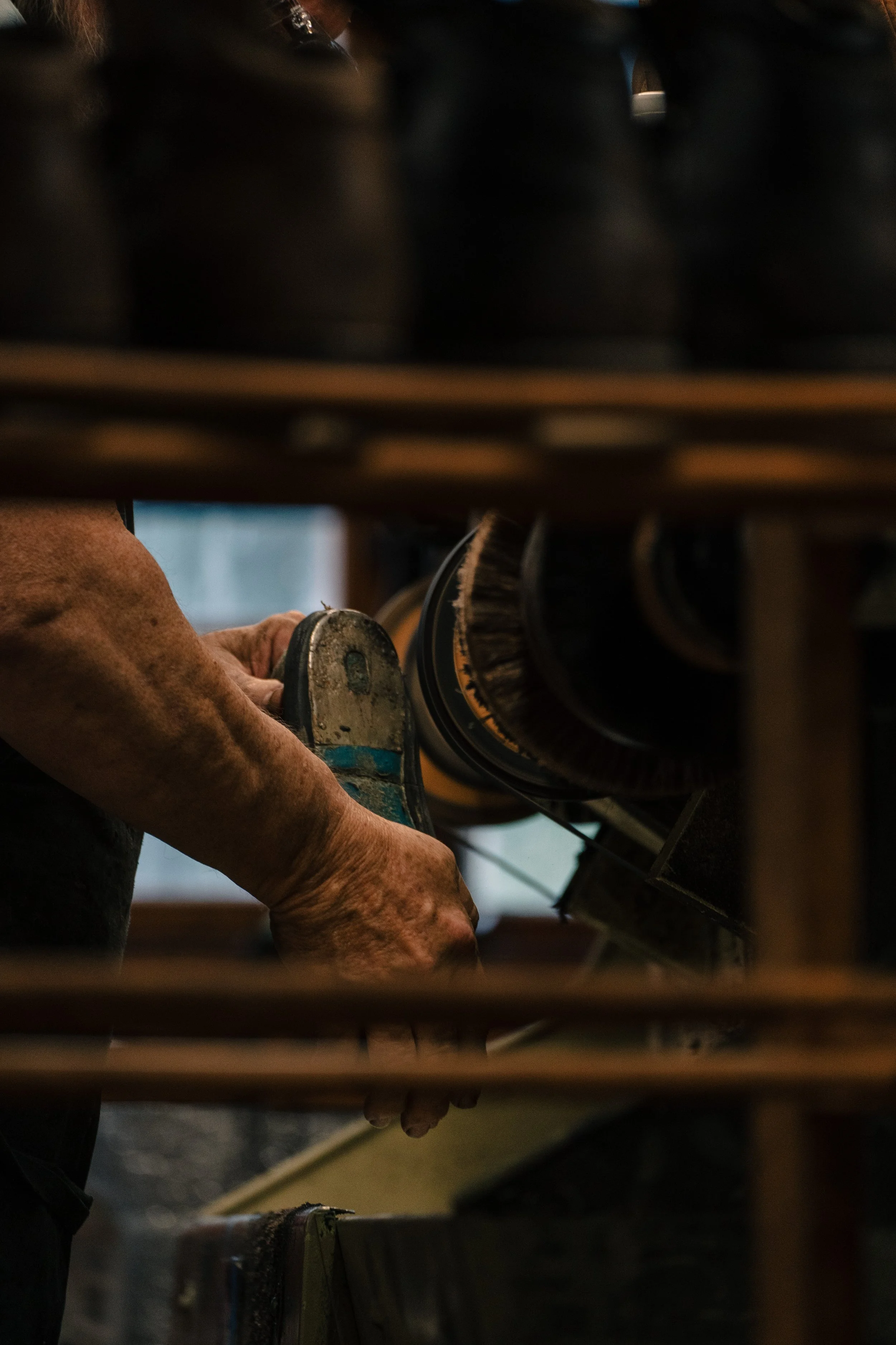 Photo Jul 29 2023, 11 19 24 AM.jpg