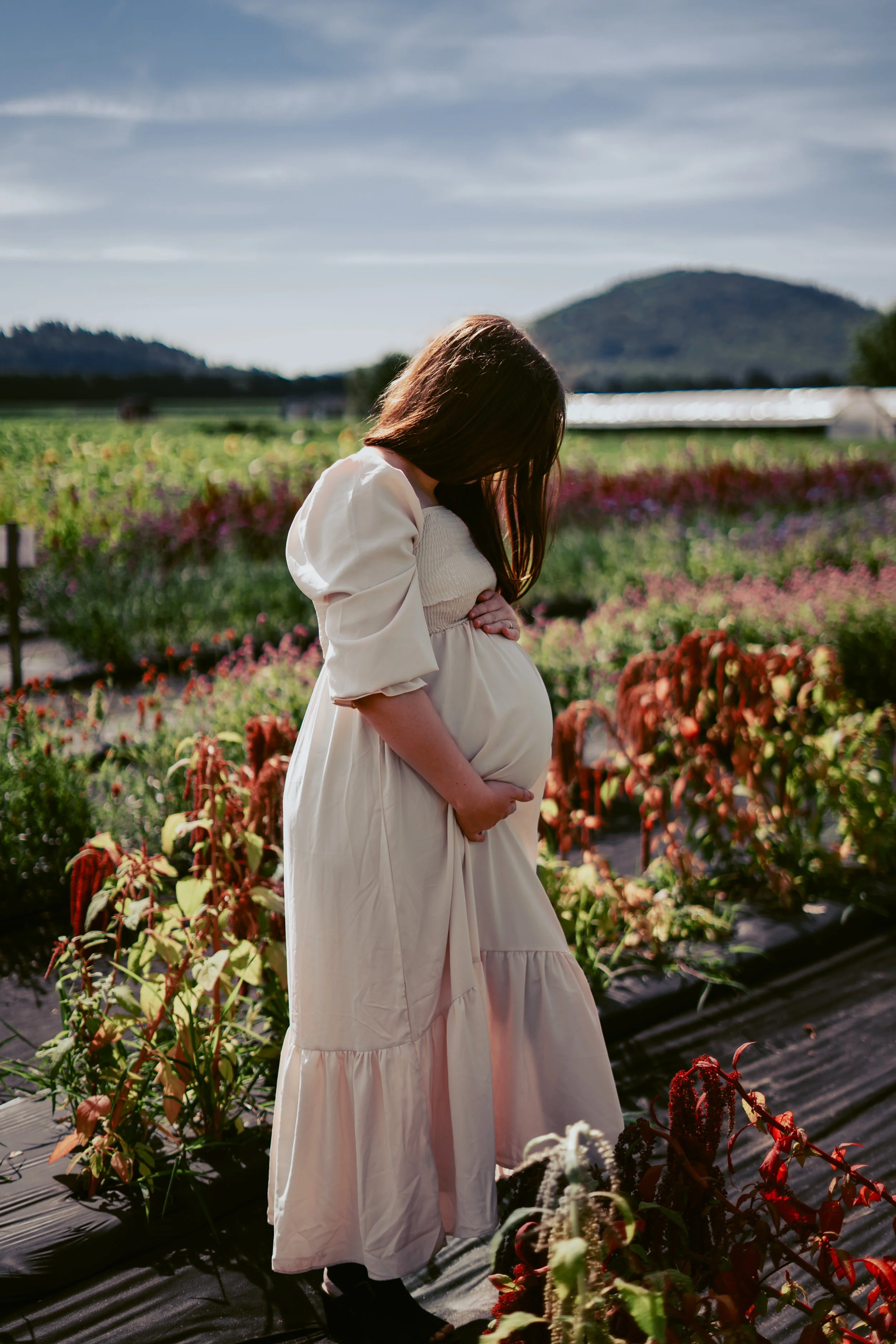 Photo Aug 12 2023, 9 40 52 AM.jpg