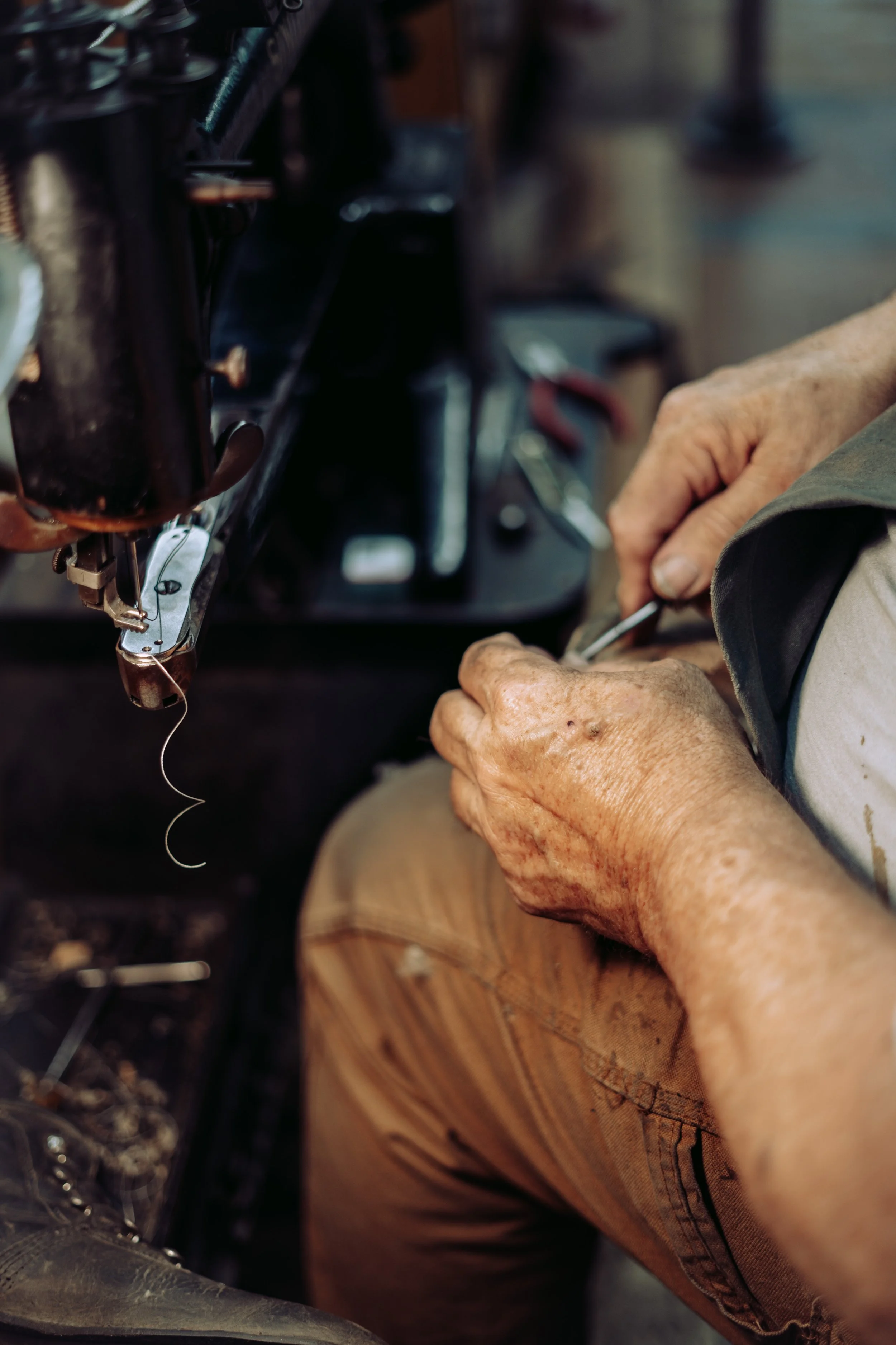 Photo Jul 29 2023, 10 36 07 AM.jpg