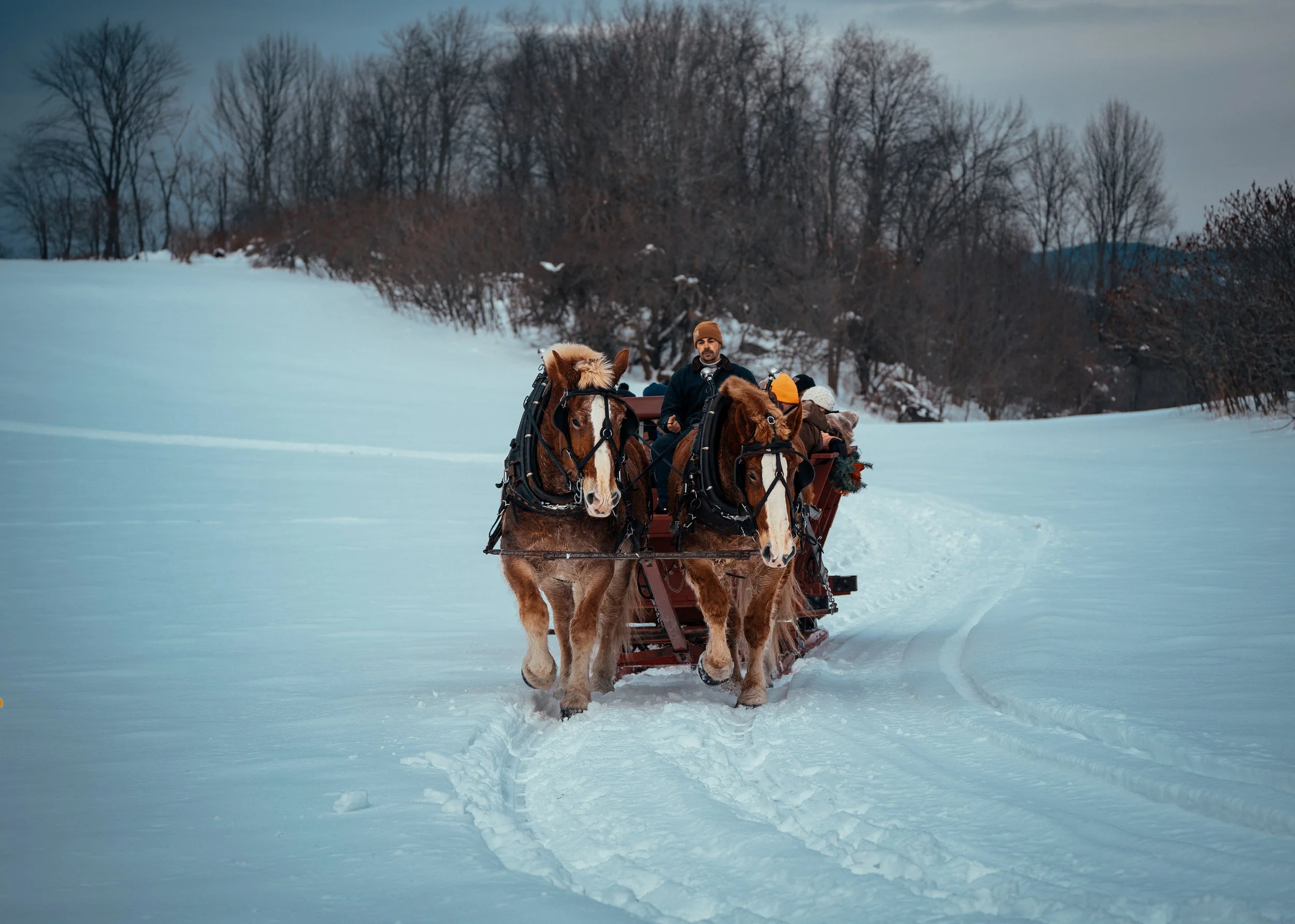 TBHsleighride-36.jpg