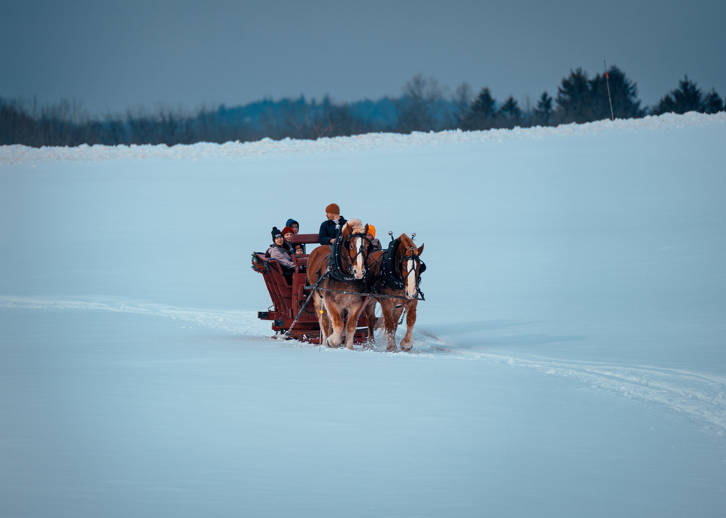 TBHsleighride-29.jpg